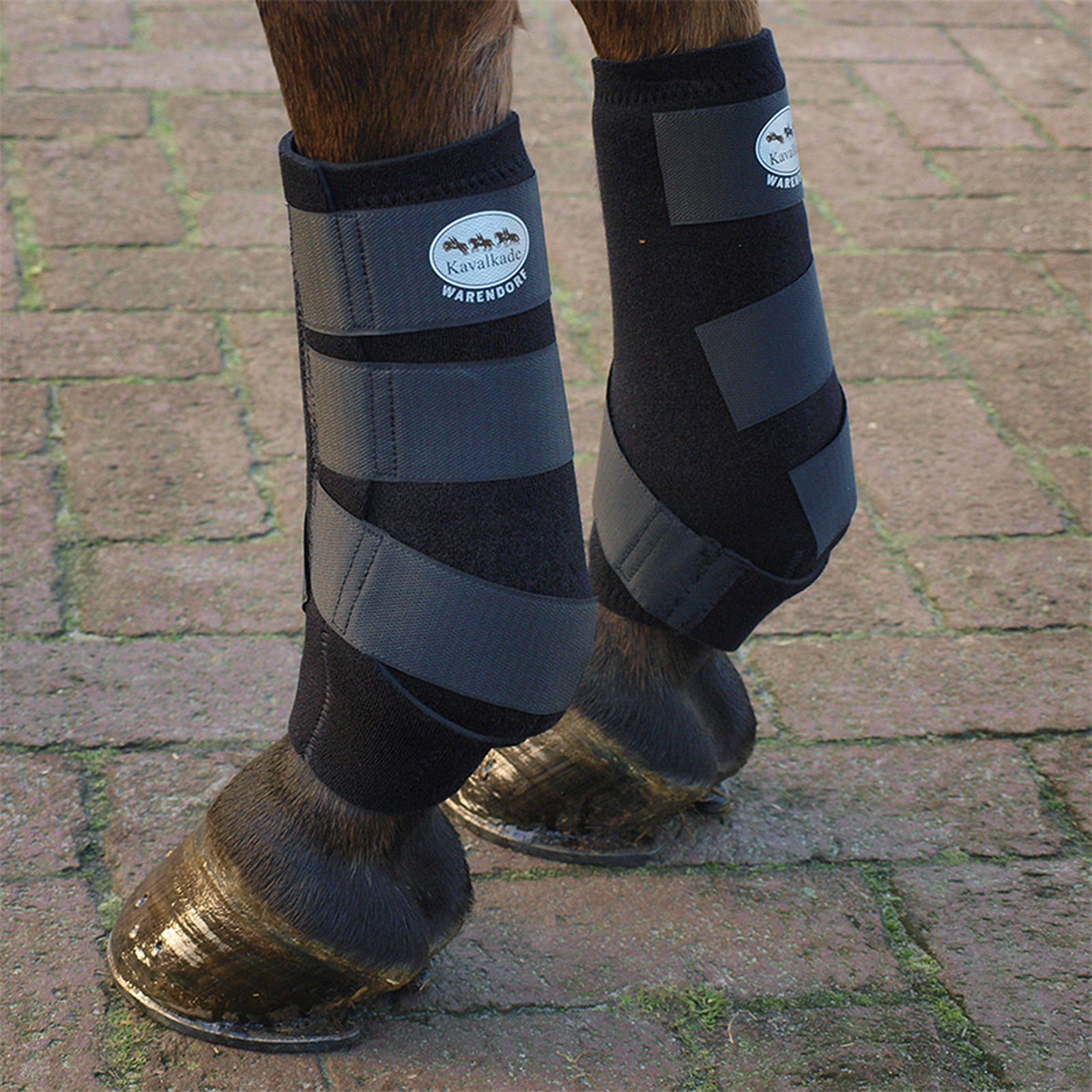 Kavalkade neoprengamacher