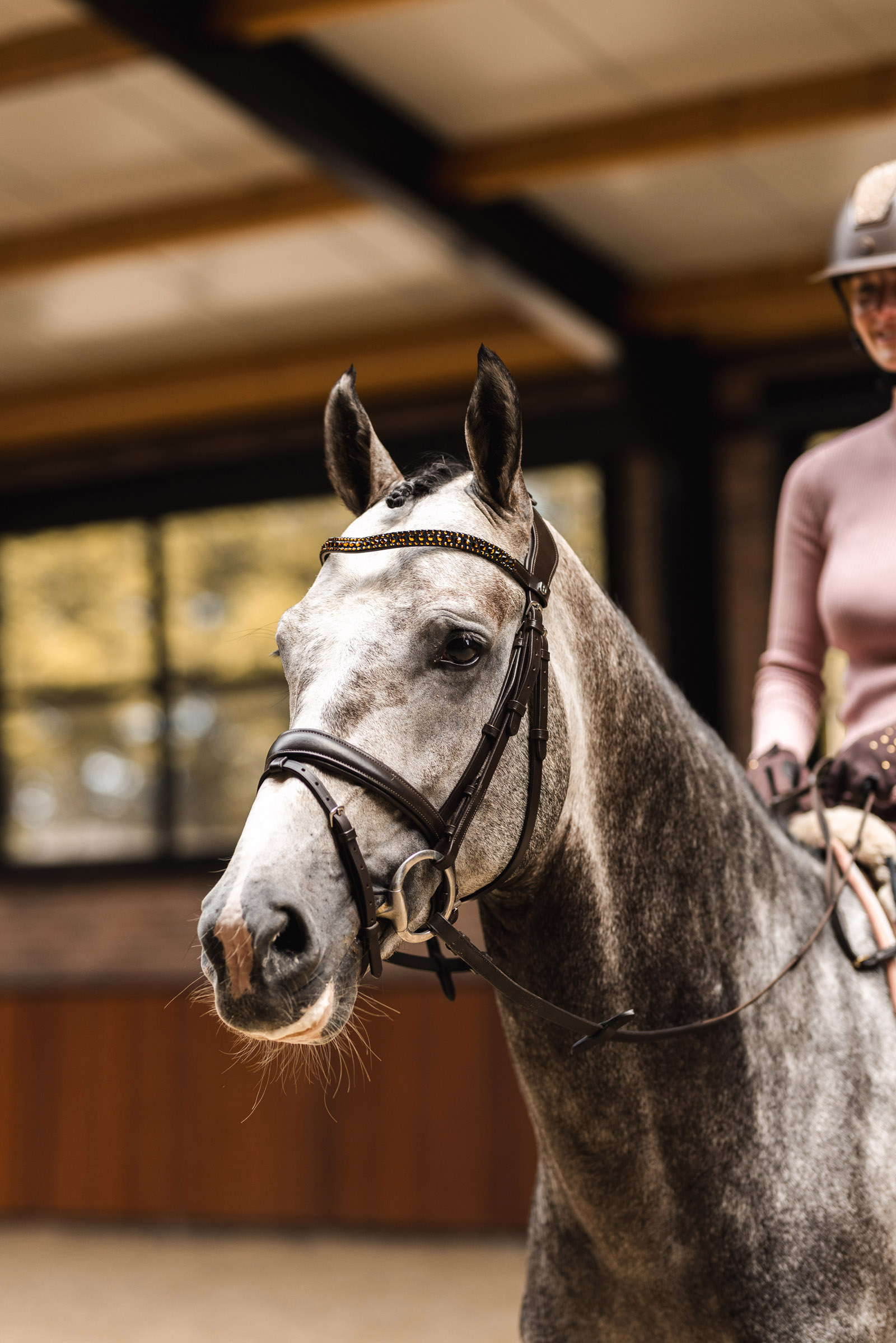 Horze St. Moritz Pandebånd