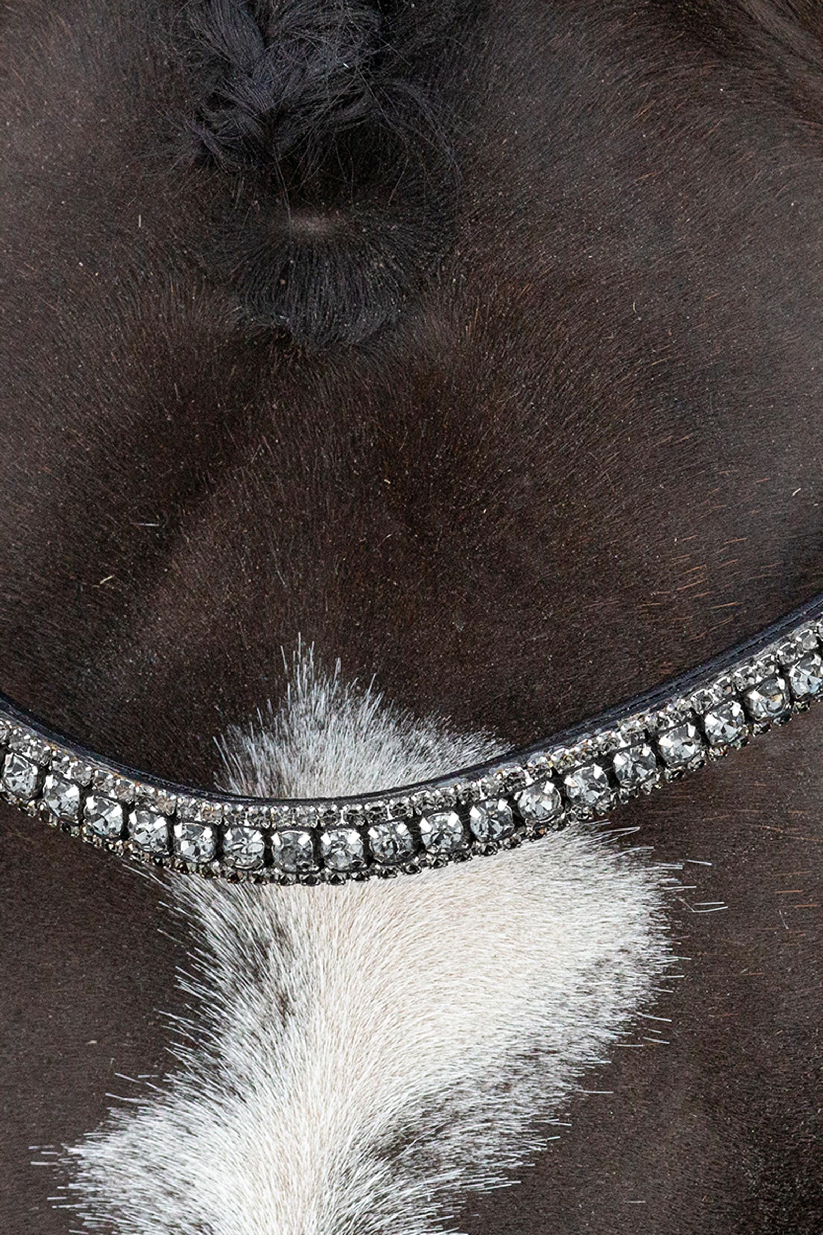 Schockem&ouml;hle Sports Brindisi Kandar