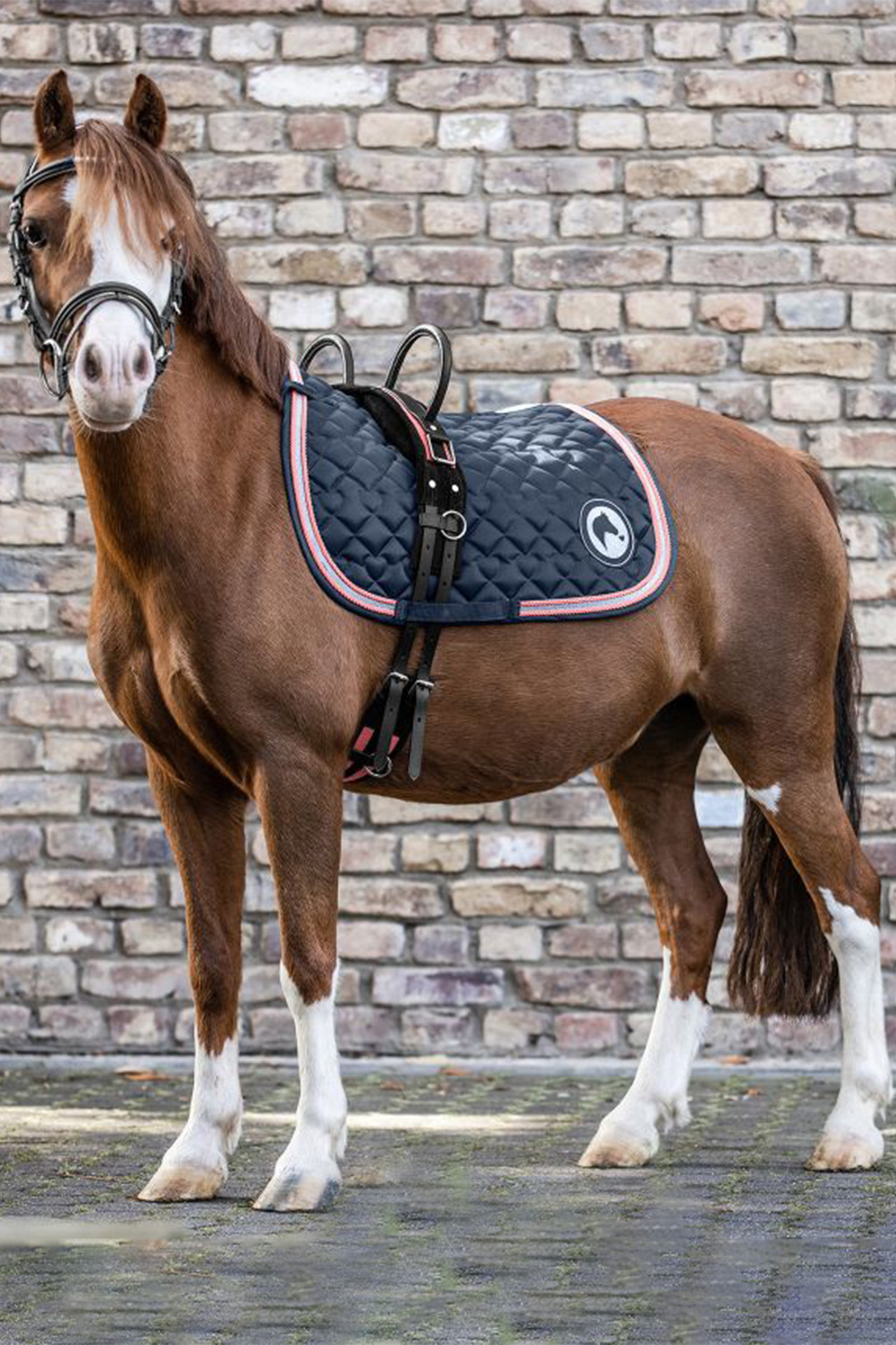 Waldhausen Surret med to håndtag