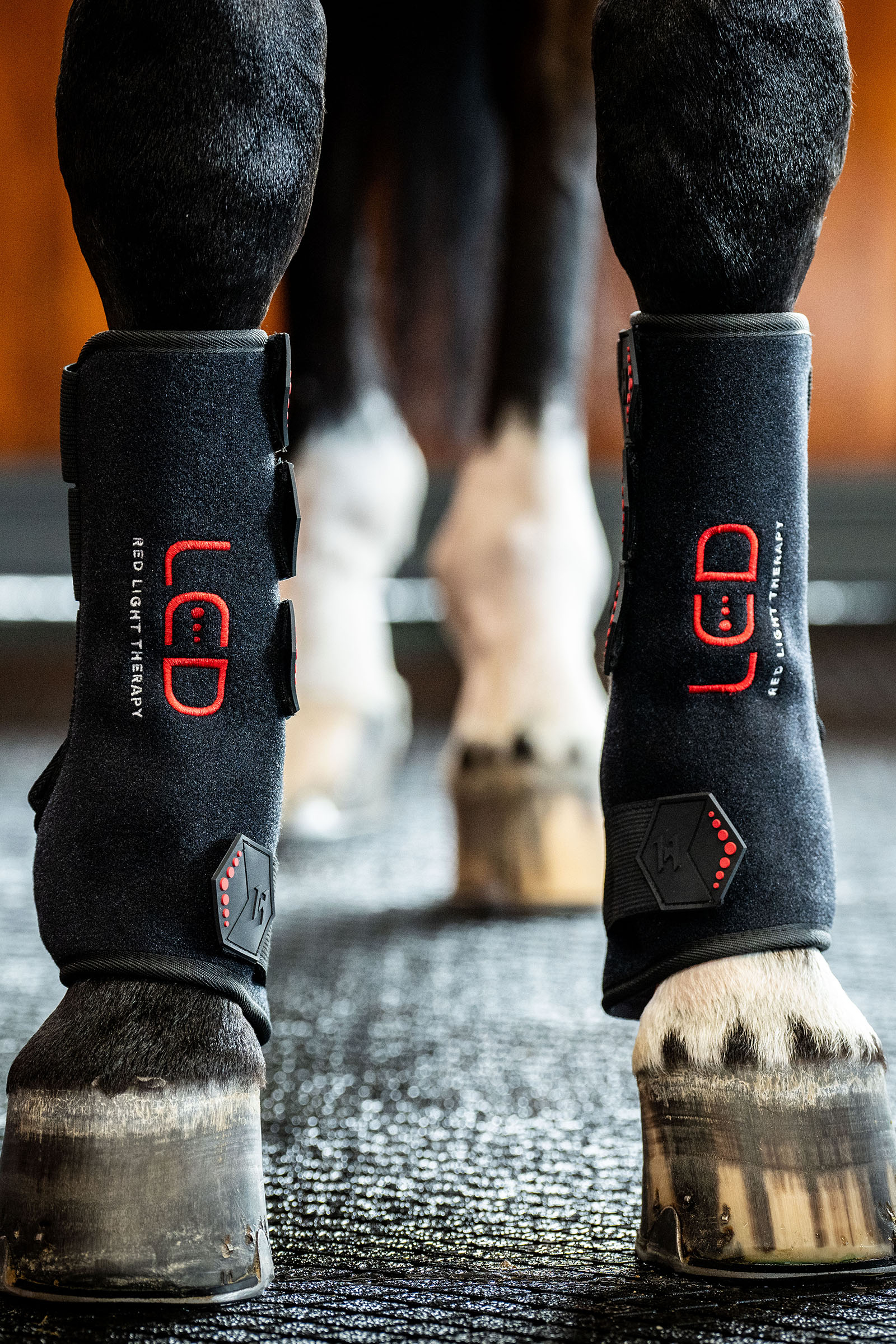 Horseware LED r&oslash;dlysterapi hesteboot (1 stk.)