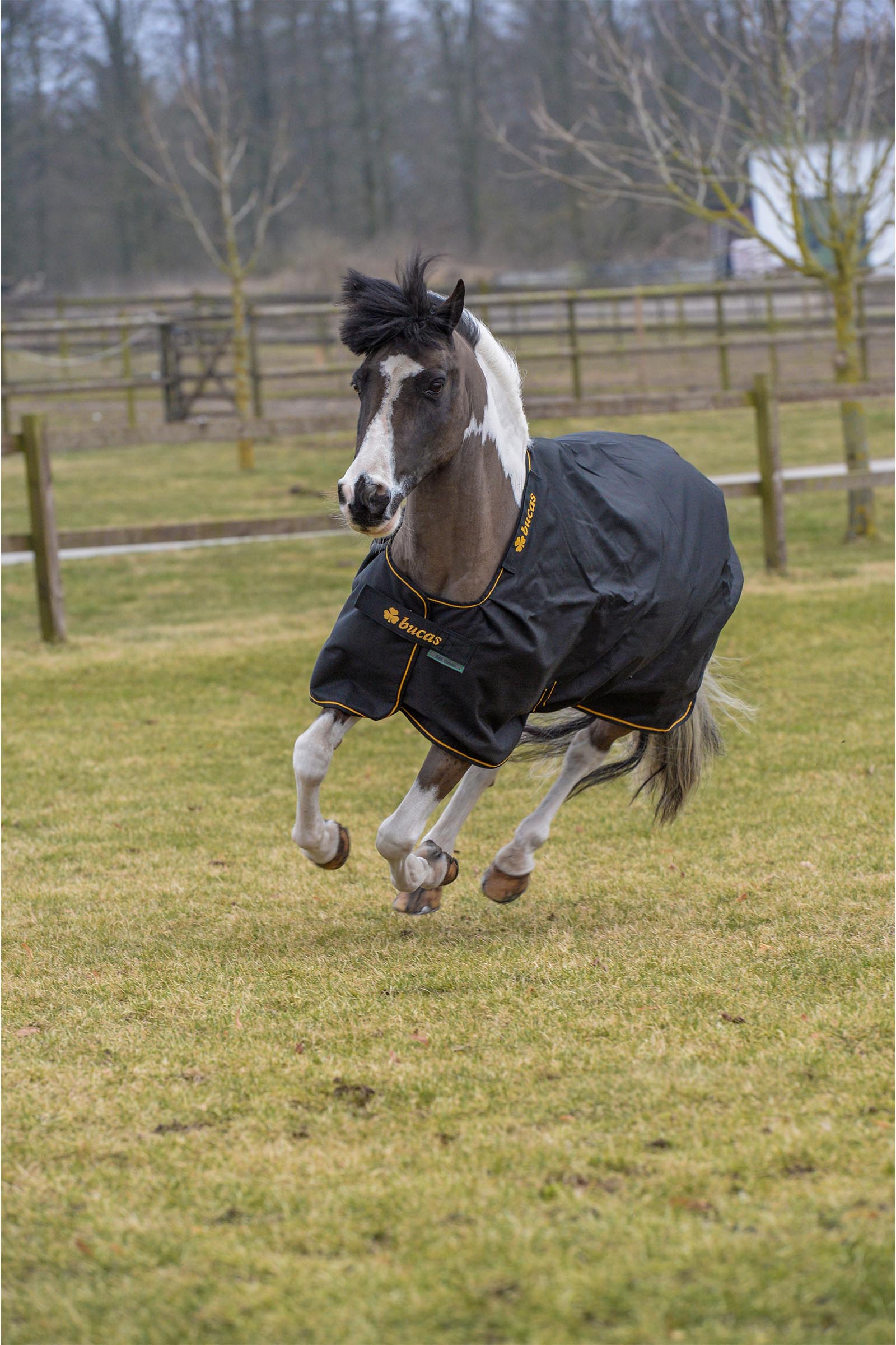 Bucas Irish uded&aelig;kken, 100 g