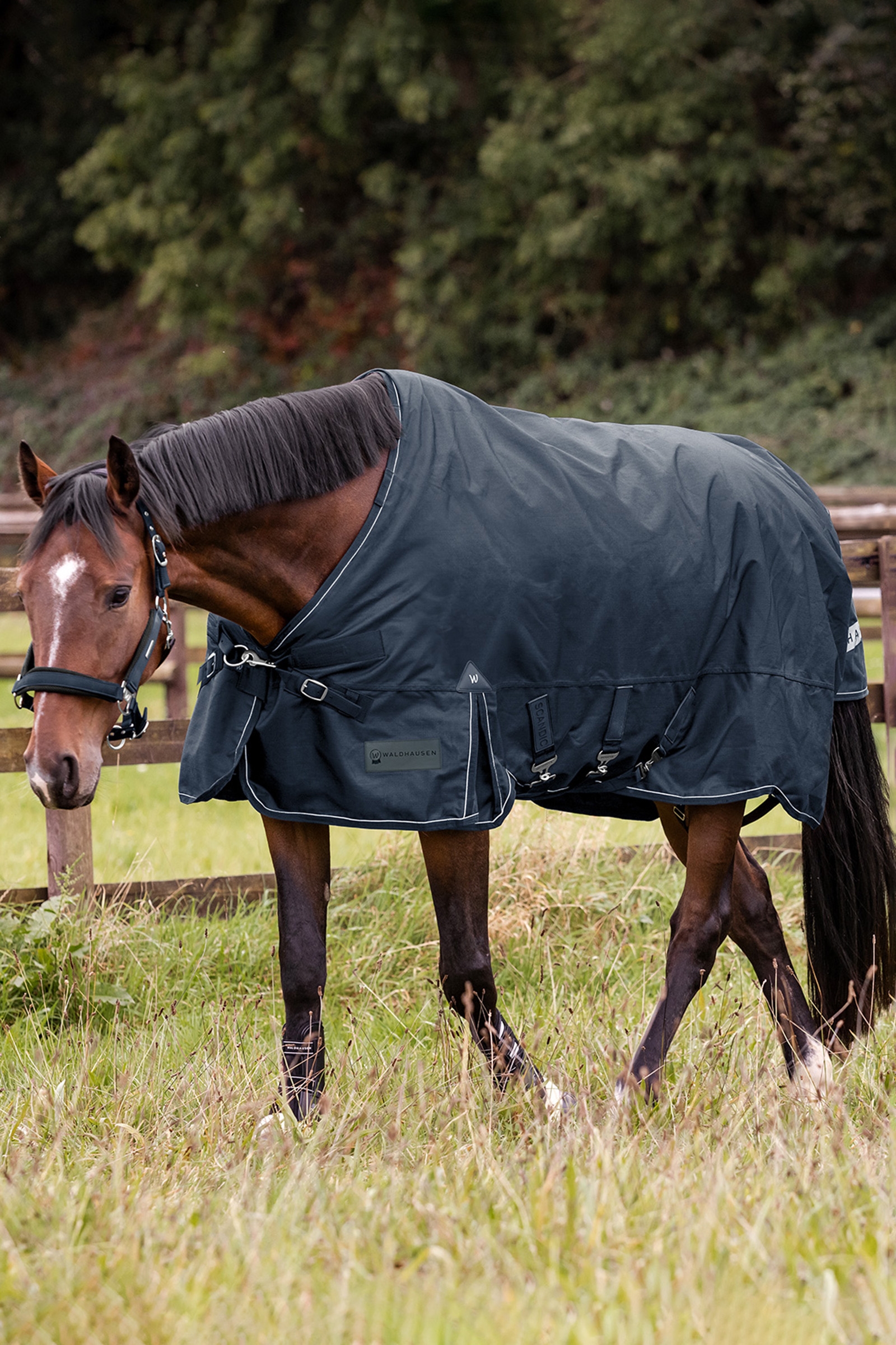 Waldhausen udend&oslash;rst&aelig;ppe Scandic Light