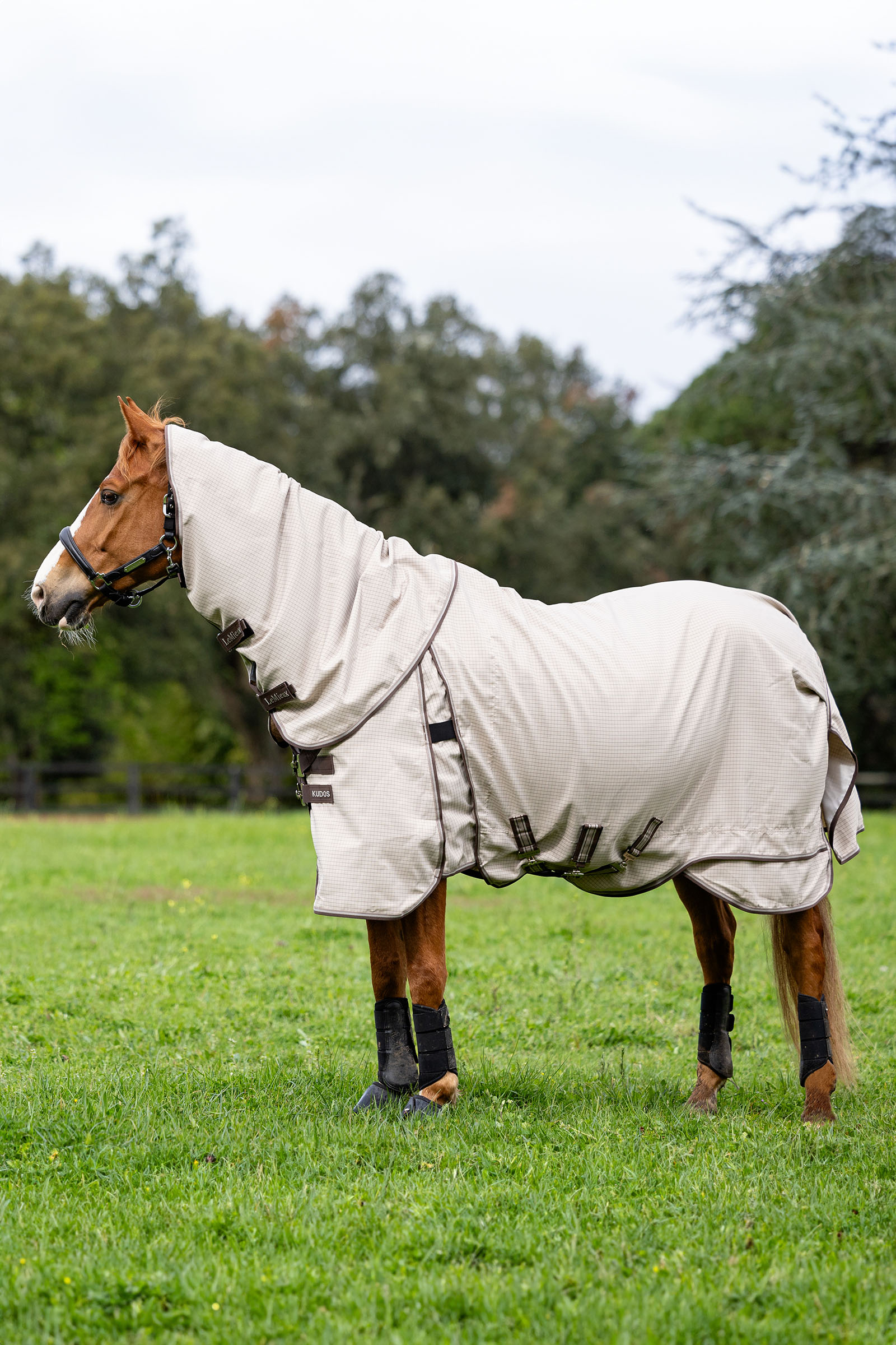 LeMieux Kudos udedækken