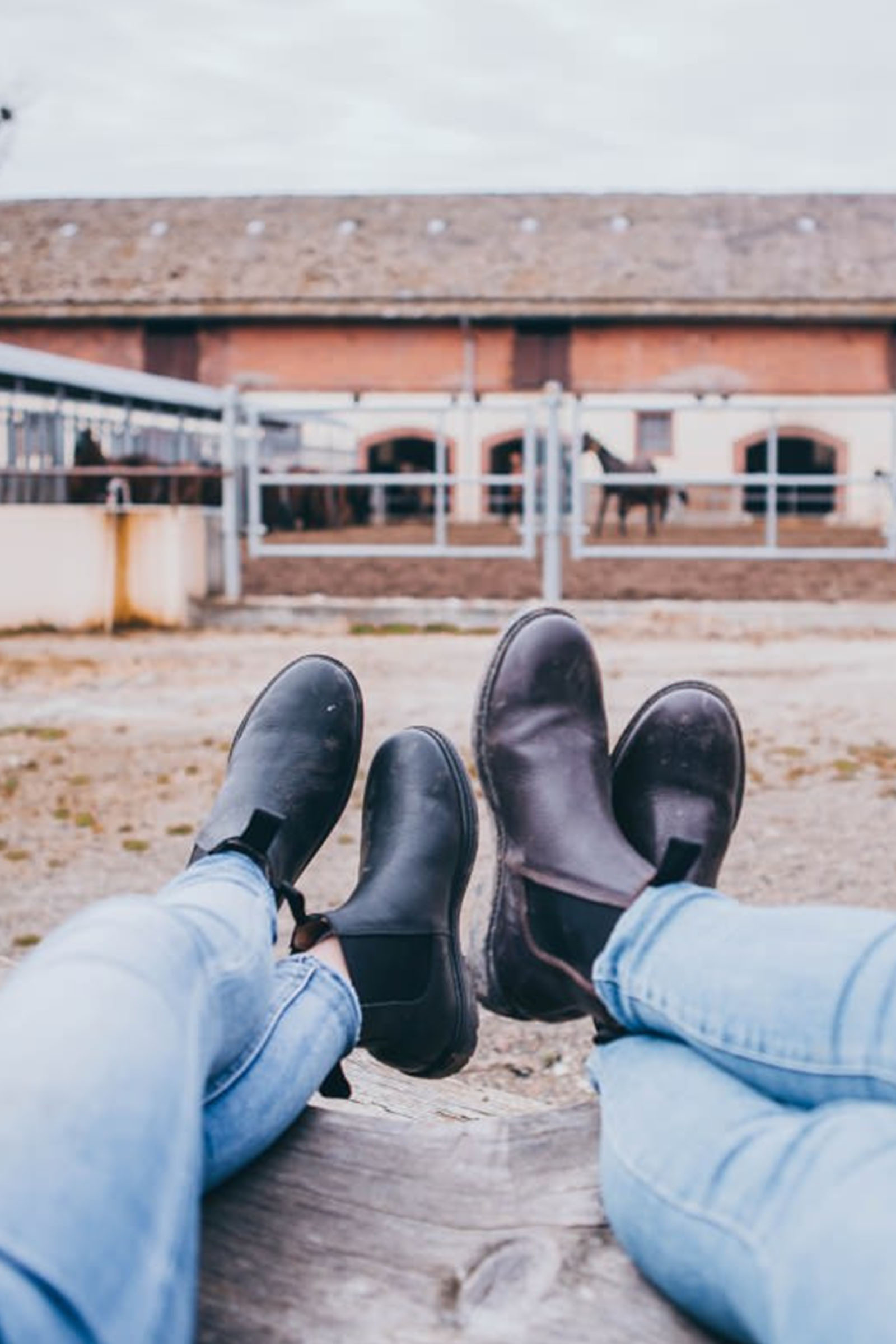 Suedwind Footwear 1888 Chelsea Jodhpur Støvler