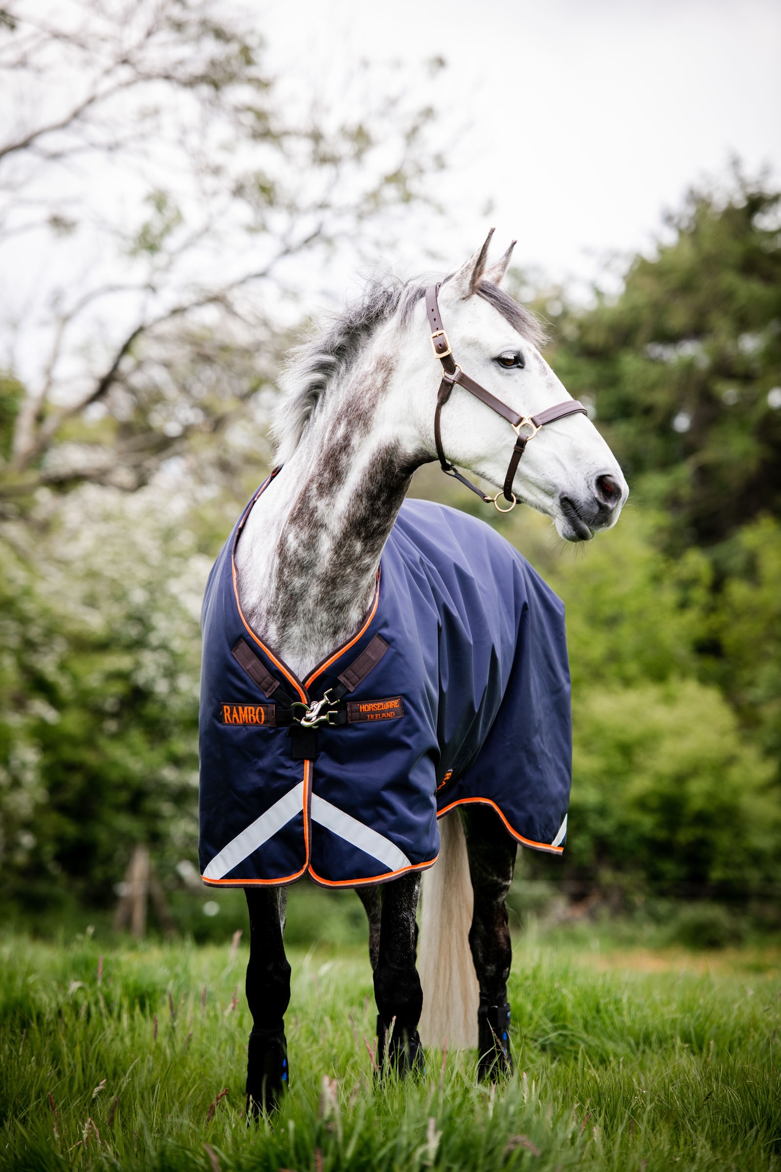Horseware Rambo Original Overgangsd&aelig;kken med benudsk&aelig;ringer, 100 gr