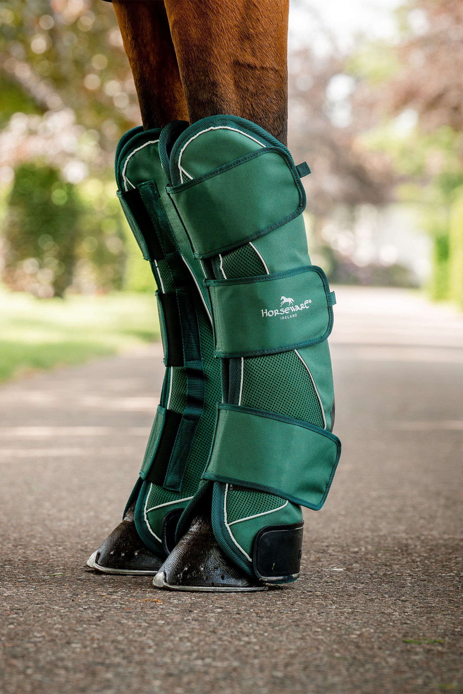 Horseware Signature Transport Benbeskyttere