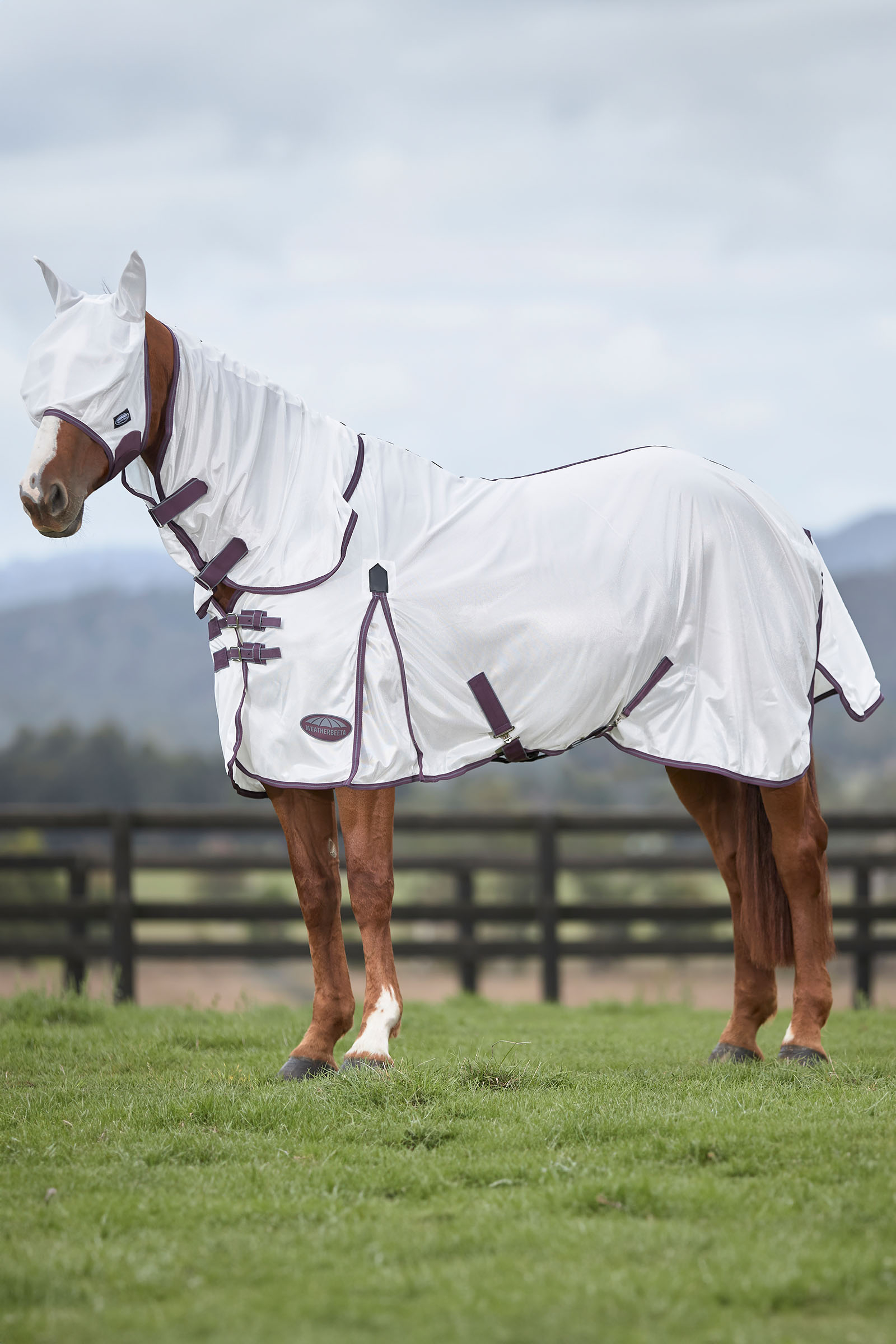 Weatherbeeta Comfitec Essential mesh-maske