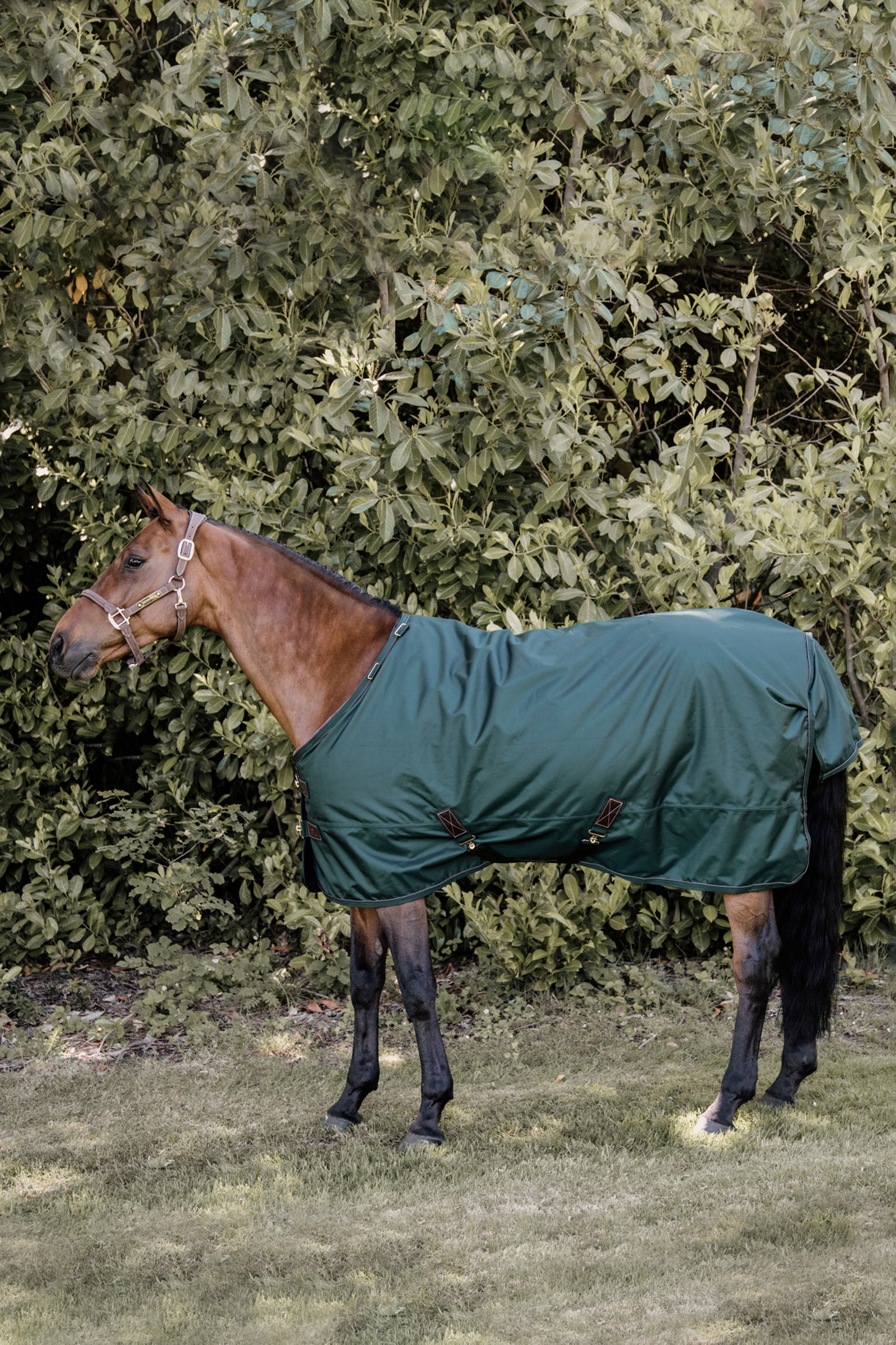 Kentucky Horsewear All Weather overgangsd&aelig;kken, 160 g