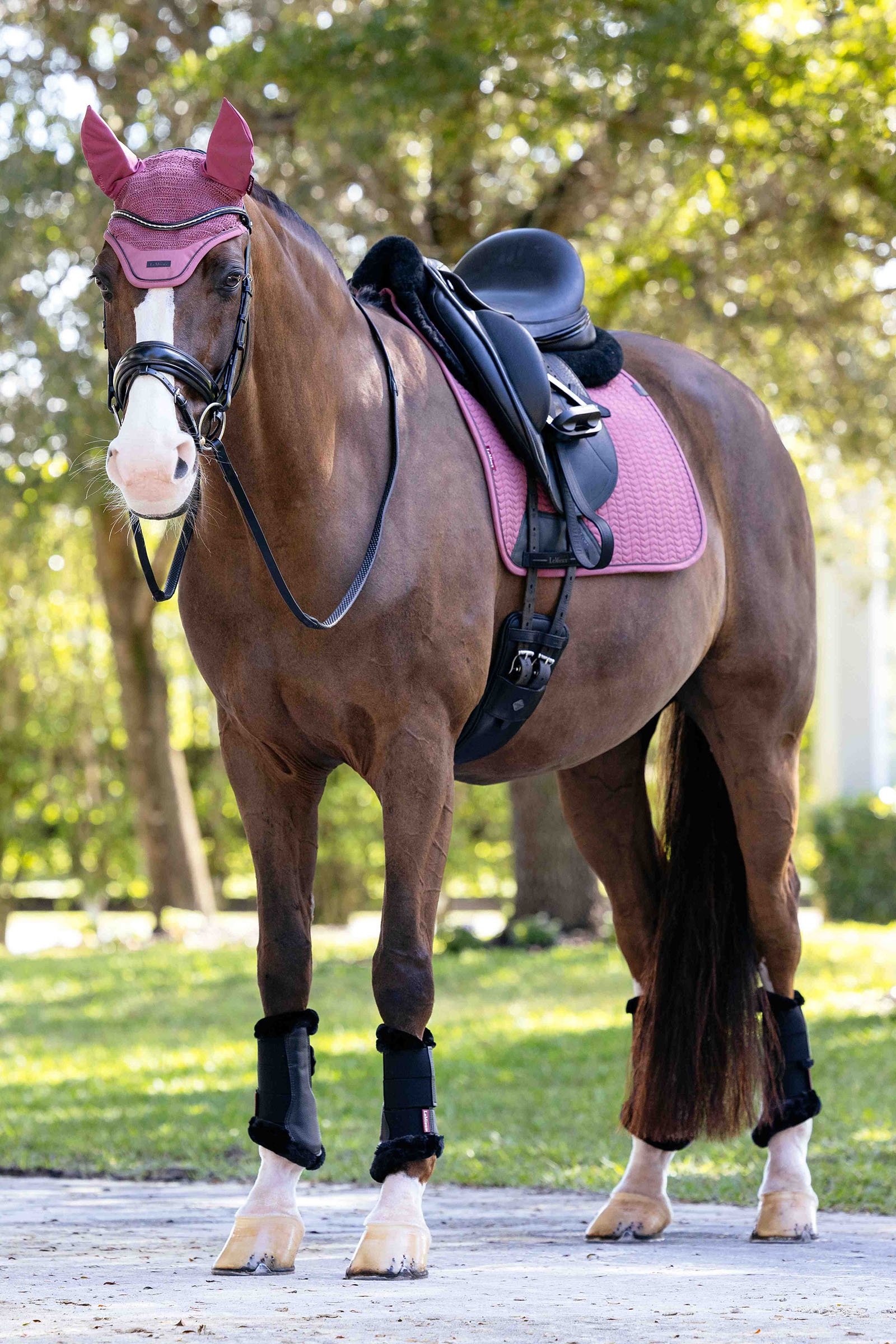 LeMieux Essence dressur sadelunderlag
