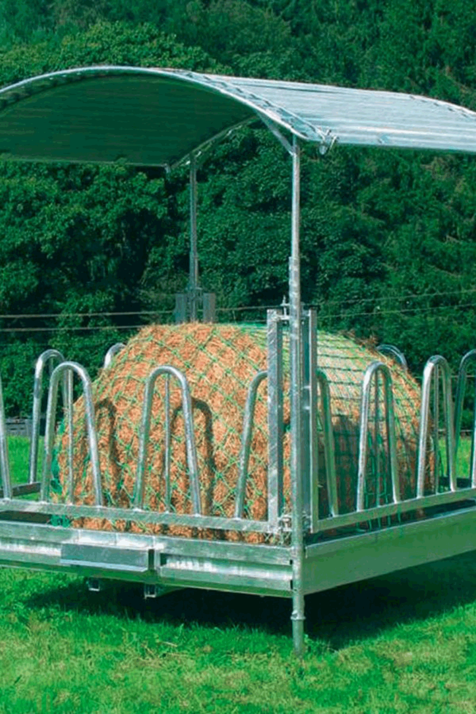 Kerbl hønet til langsom fodring