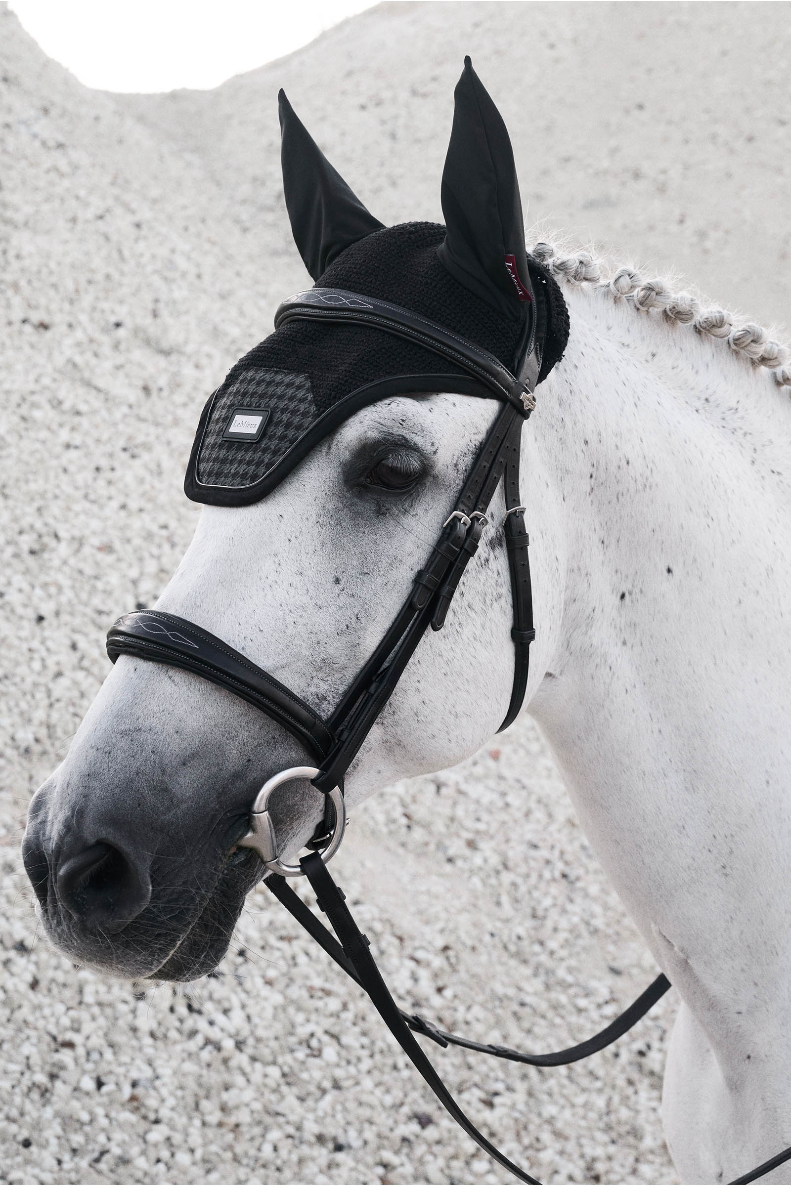 LeMieux Aspen Fly Hood