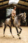 Riding in Retro: Timeless Style for Modern Equestrians