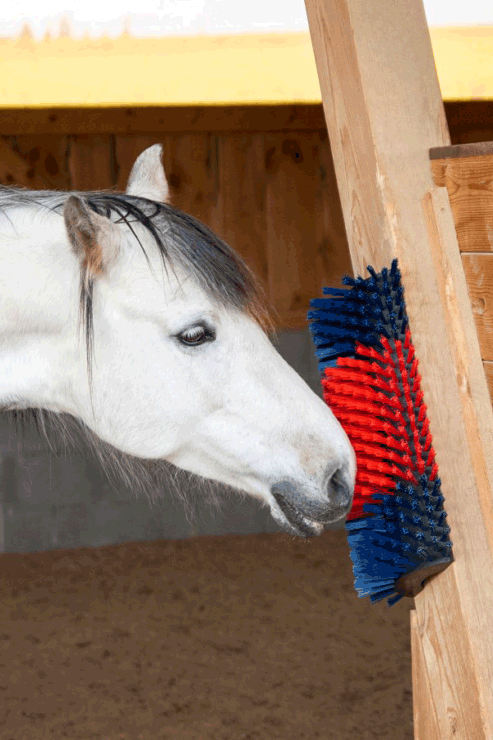 Kerbl XL kl&oslash;b&oslash;rste, rund