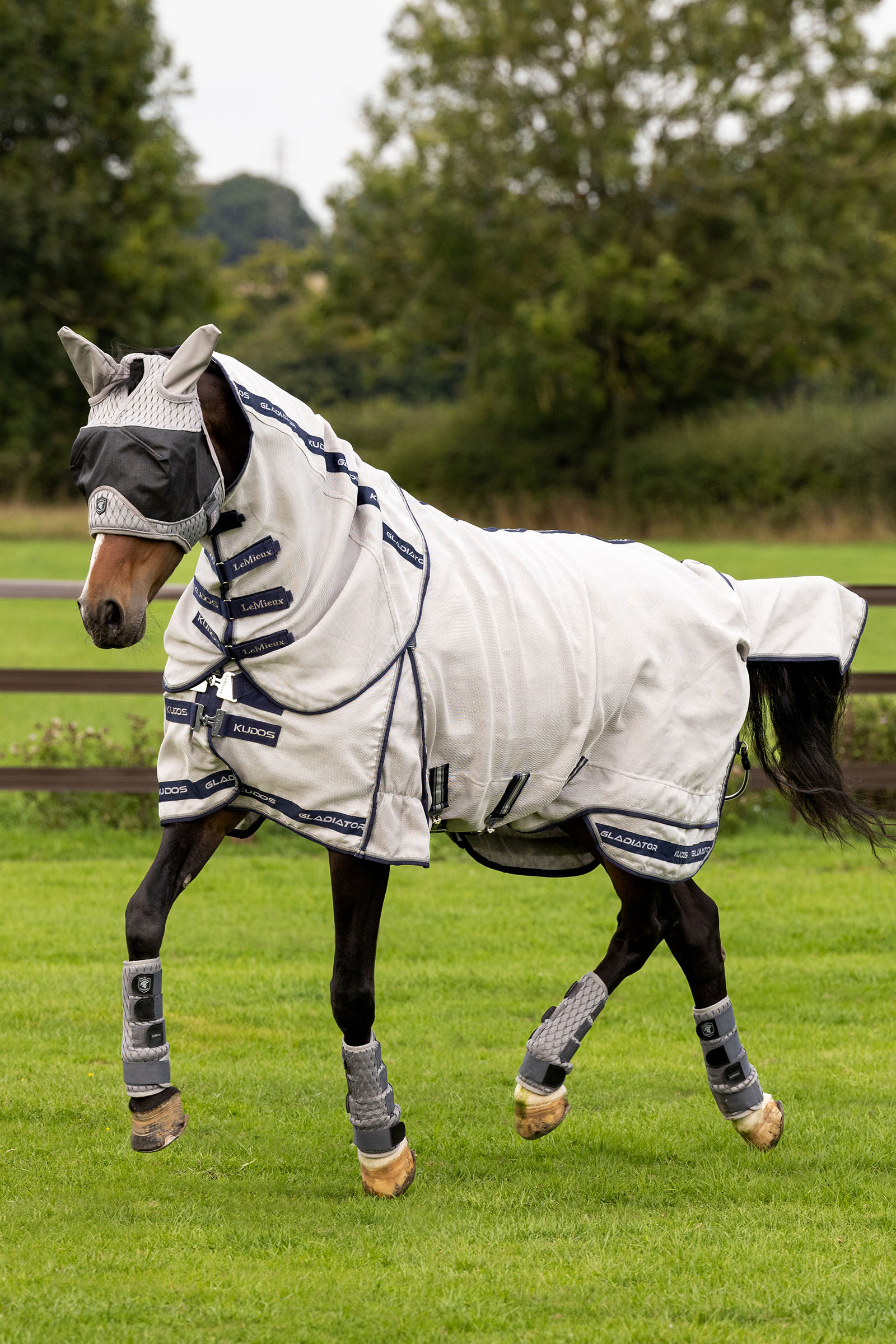 LeMieux Kudos Gladiator flued&aelig;kken