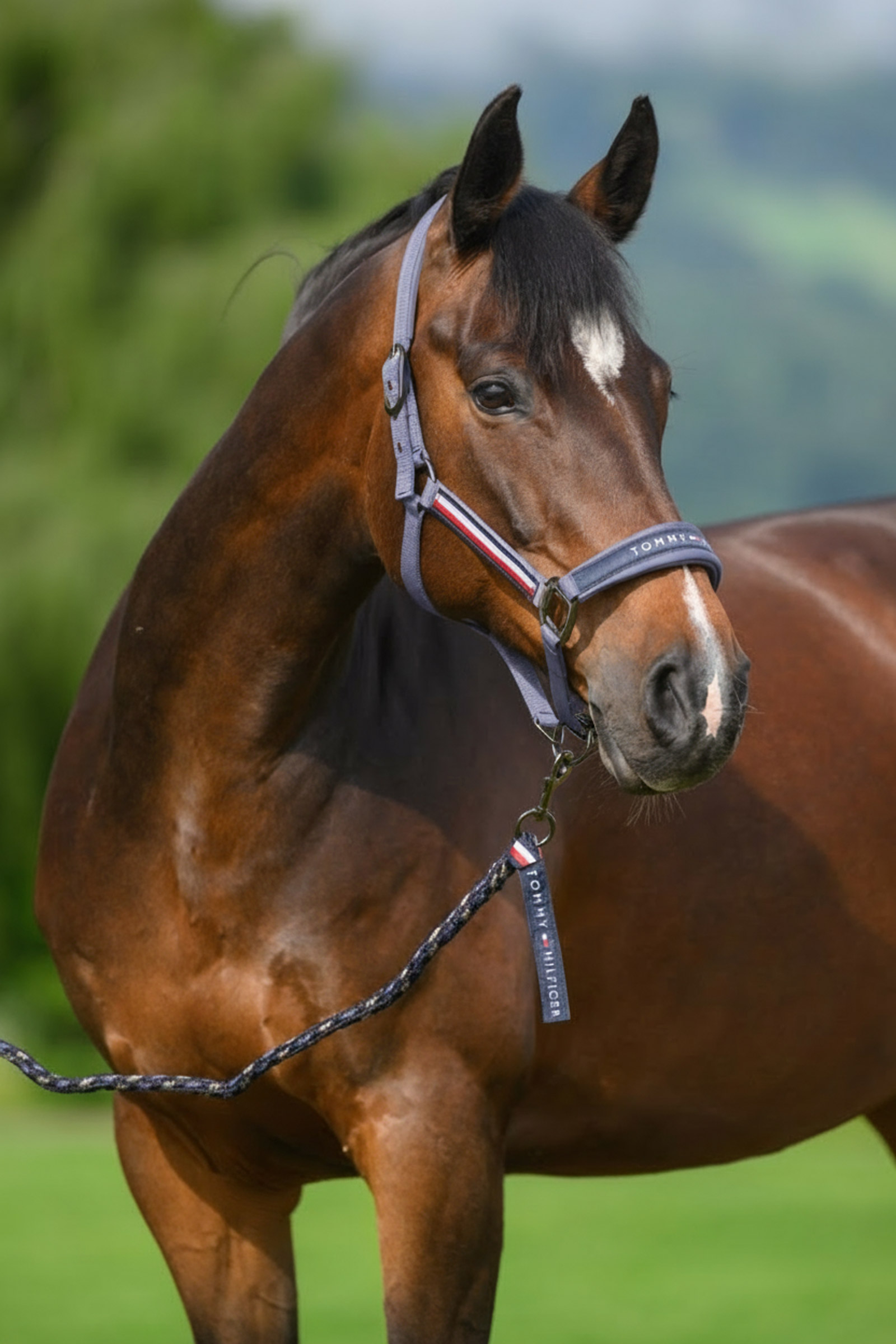 Faded Indigo Tommy Hilfiger Equestrian Yale grime- og tr&aelig;ktovs&aelig;t