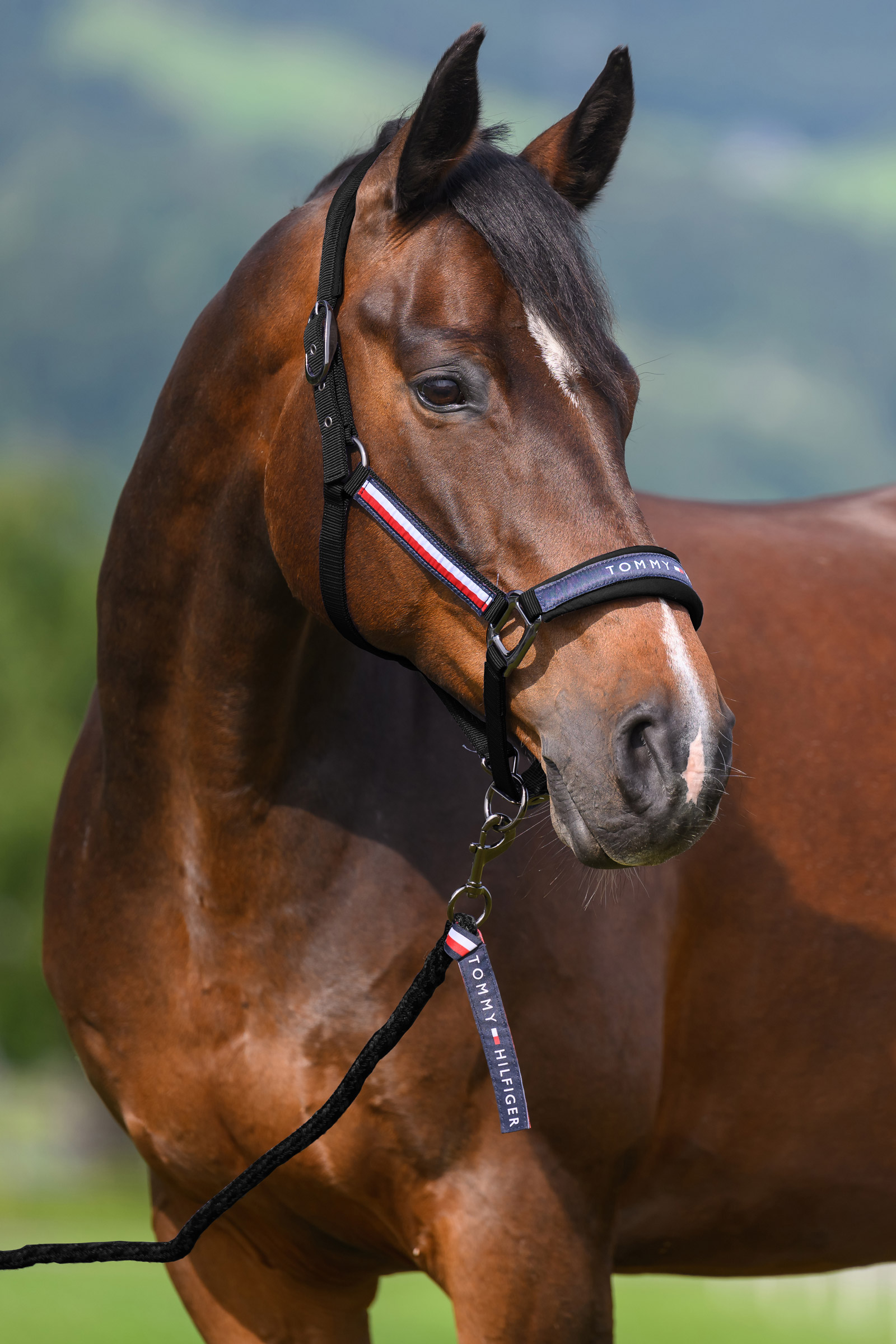 Black Tommy Hilfiger Equestrian Yale grime- og tr&aelig;ktovs&aelig;t