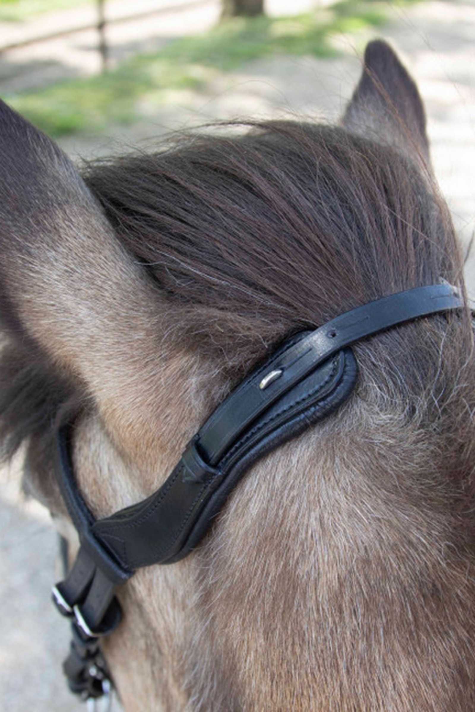 Waldhausen Anatomisk Islandsk Trense