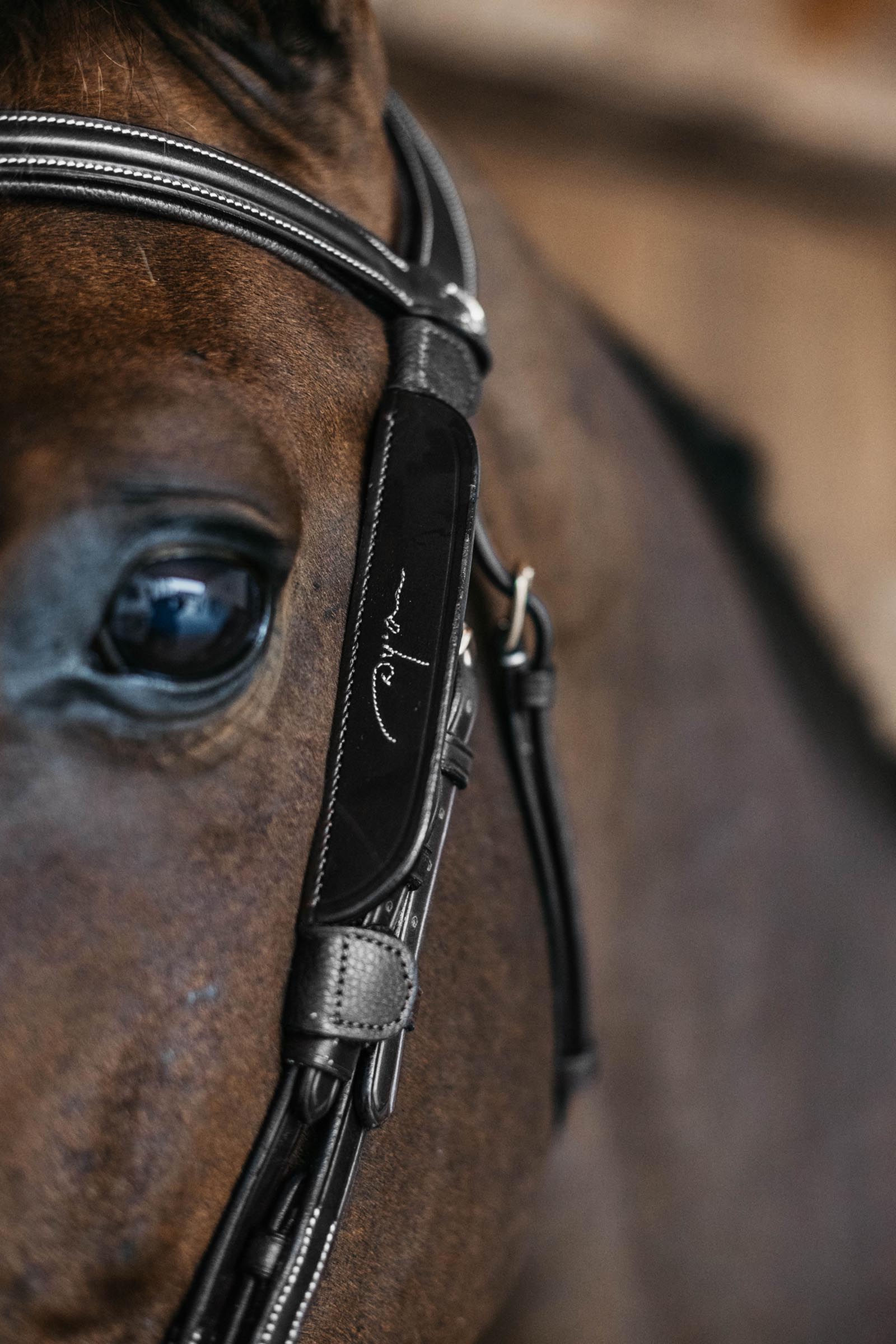 Dy'on blinkers med dekorative syninger  