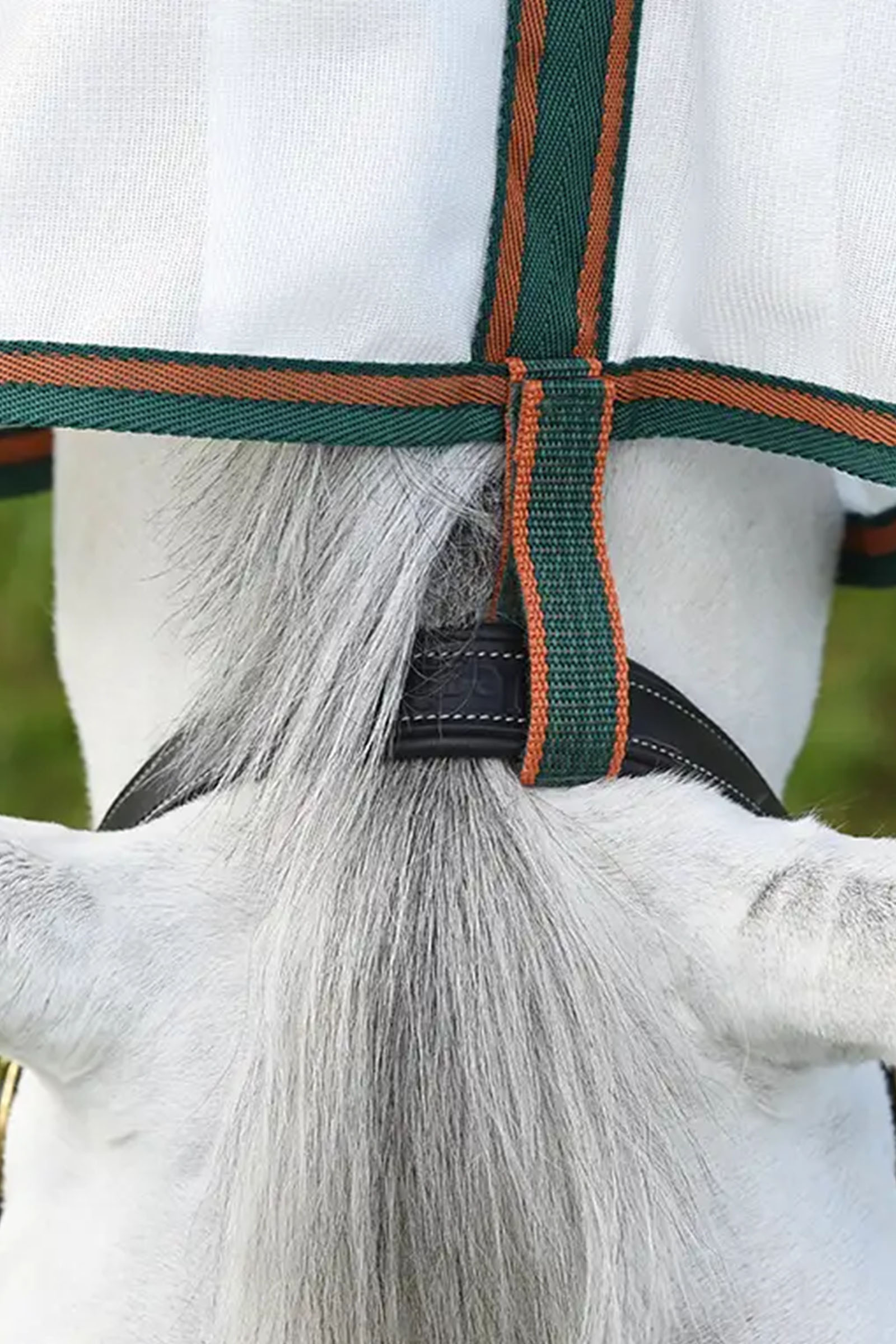 Weatherbeeta Comfitec Tyro meshd&aelig;kken med hals