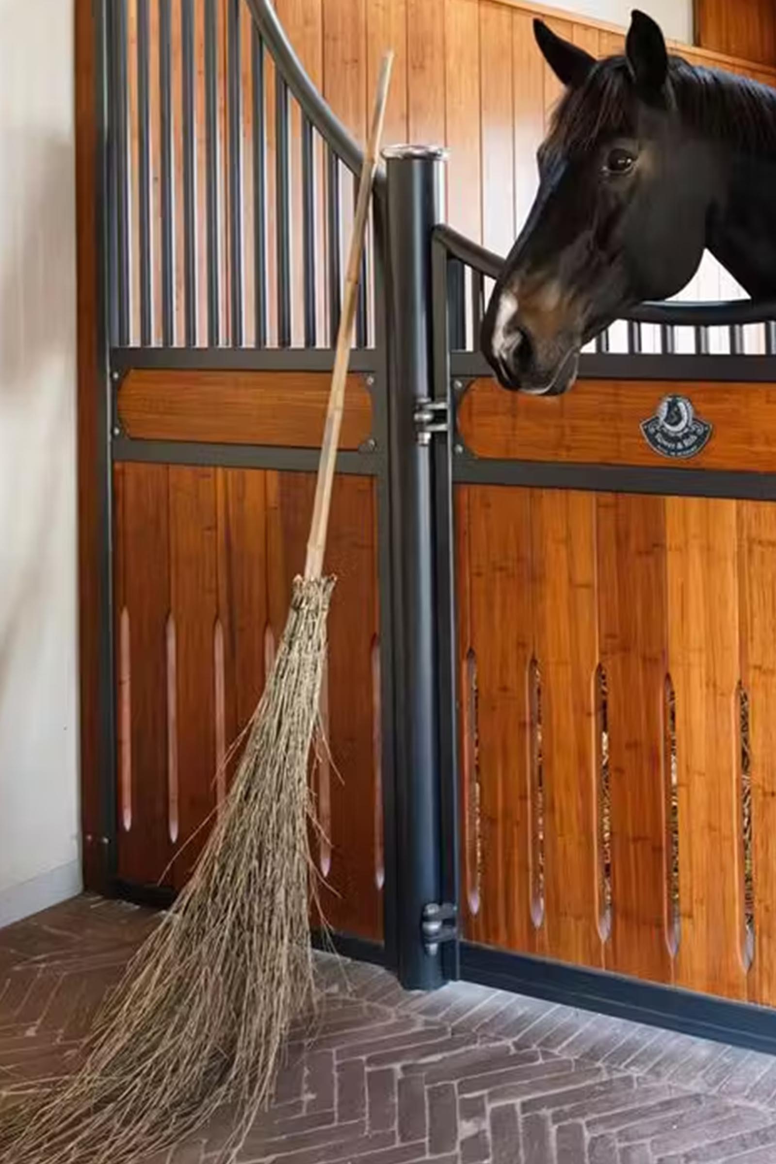 Grooming Deluxe bambuskost  