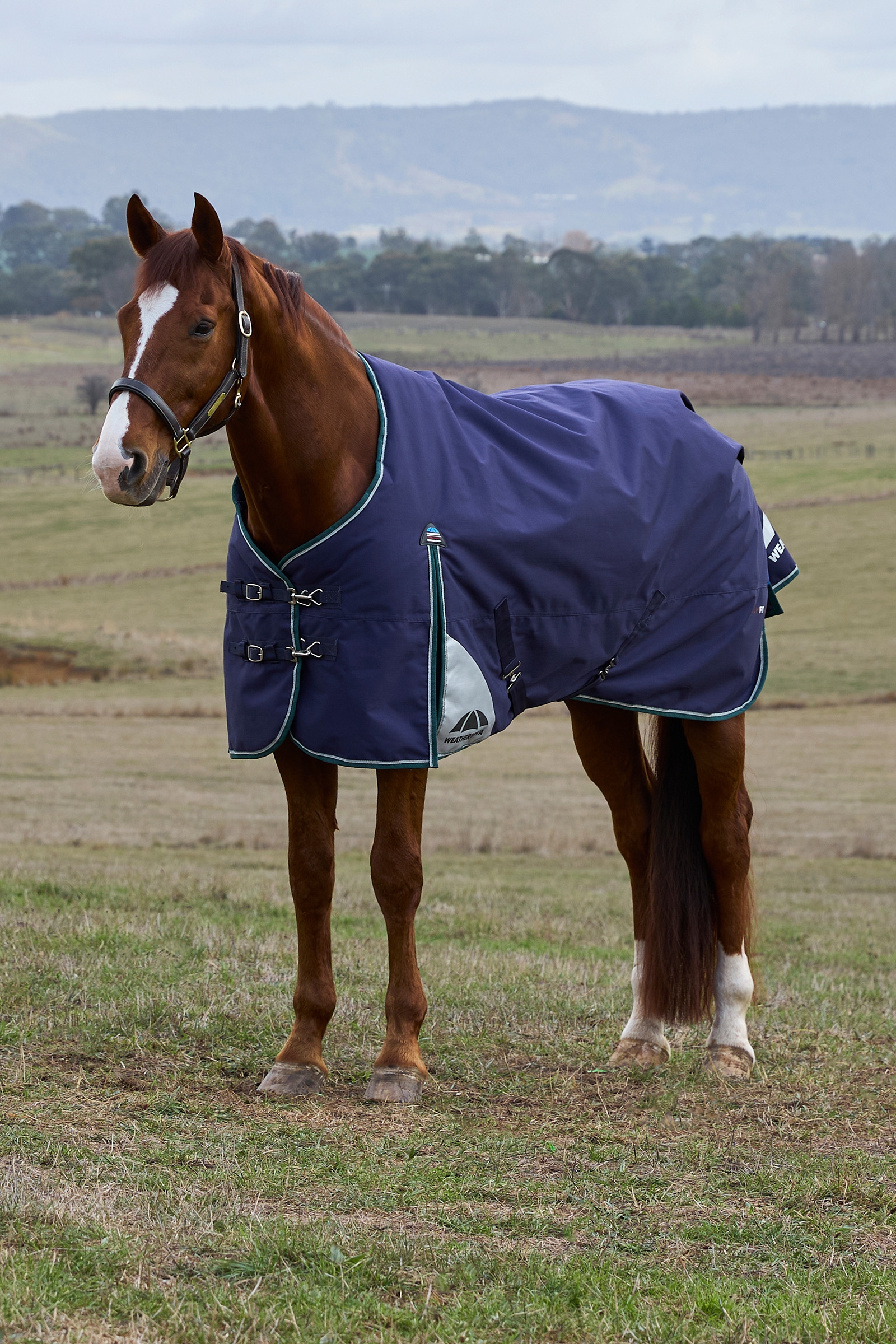 Navy/Forest Green Weatherbeeta ComFiTecPlus Dynamic Udend&oslash;rsd&aelig;kken med aftagelig hals, 100 g  