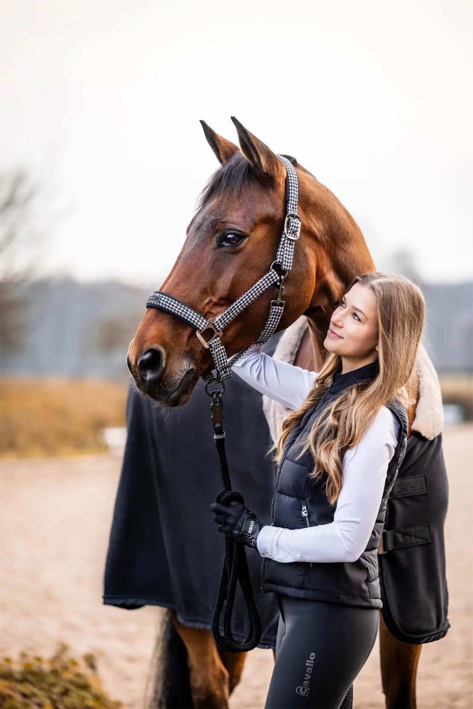 Cavallo CavalPeppy Halter