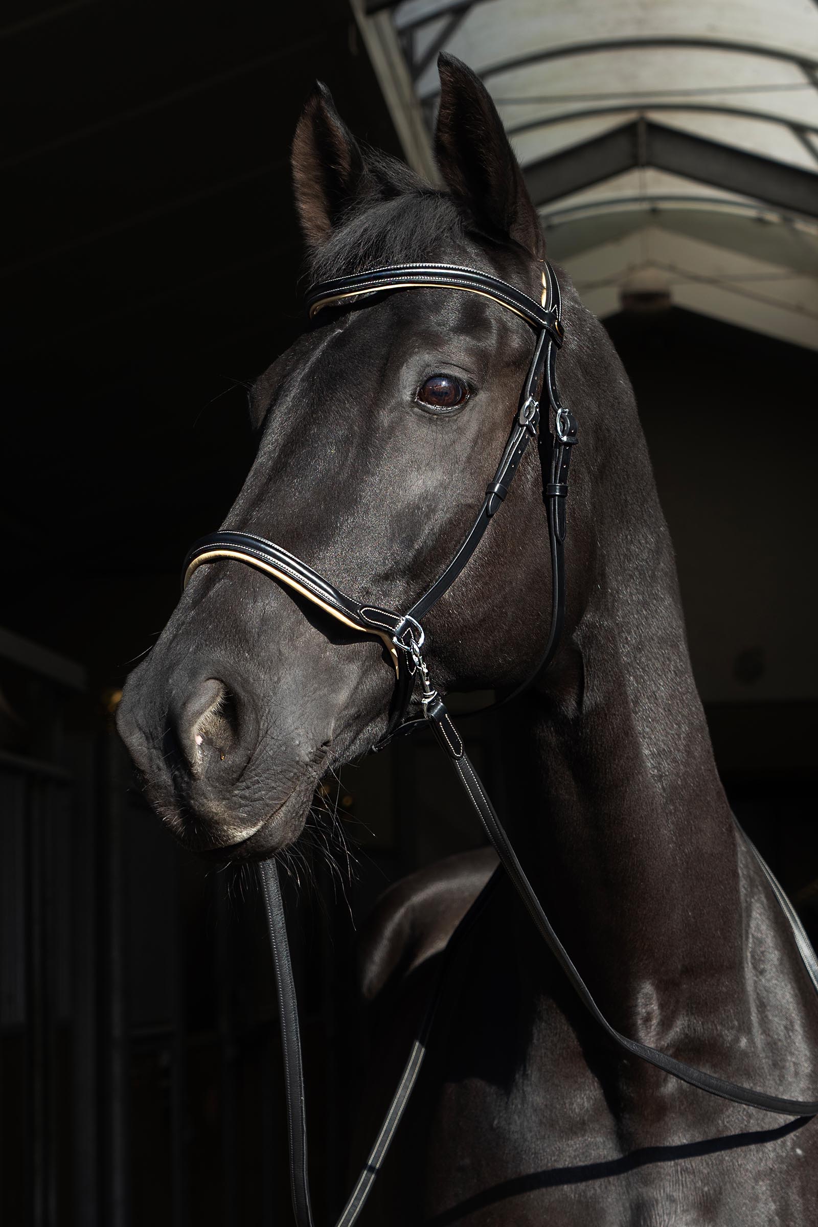 F.R.A. Freedom Riding Articles Sidepull Kiona med t&oslash;jler  