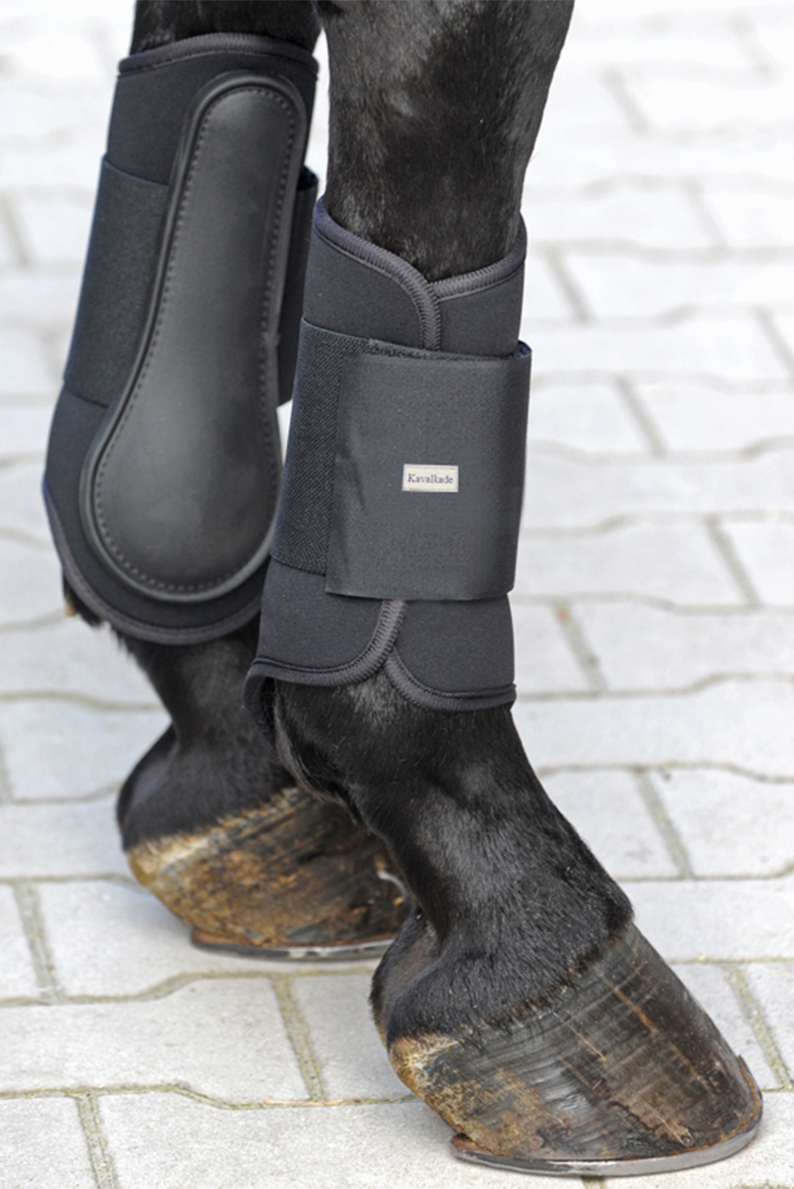 Black Kavalkade bløde neopren strygegamacher, forben