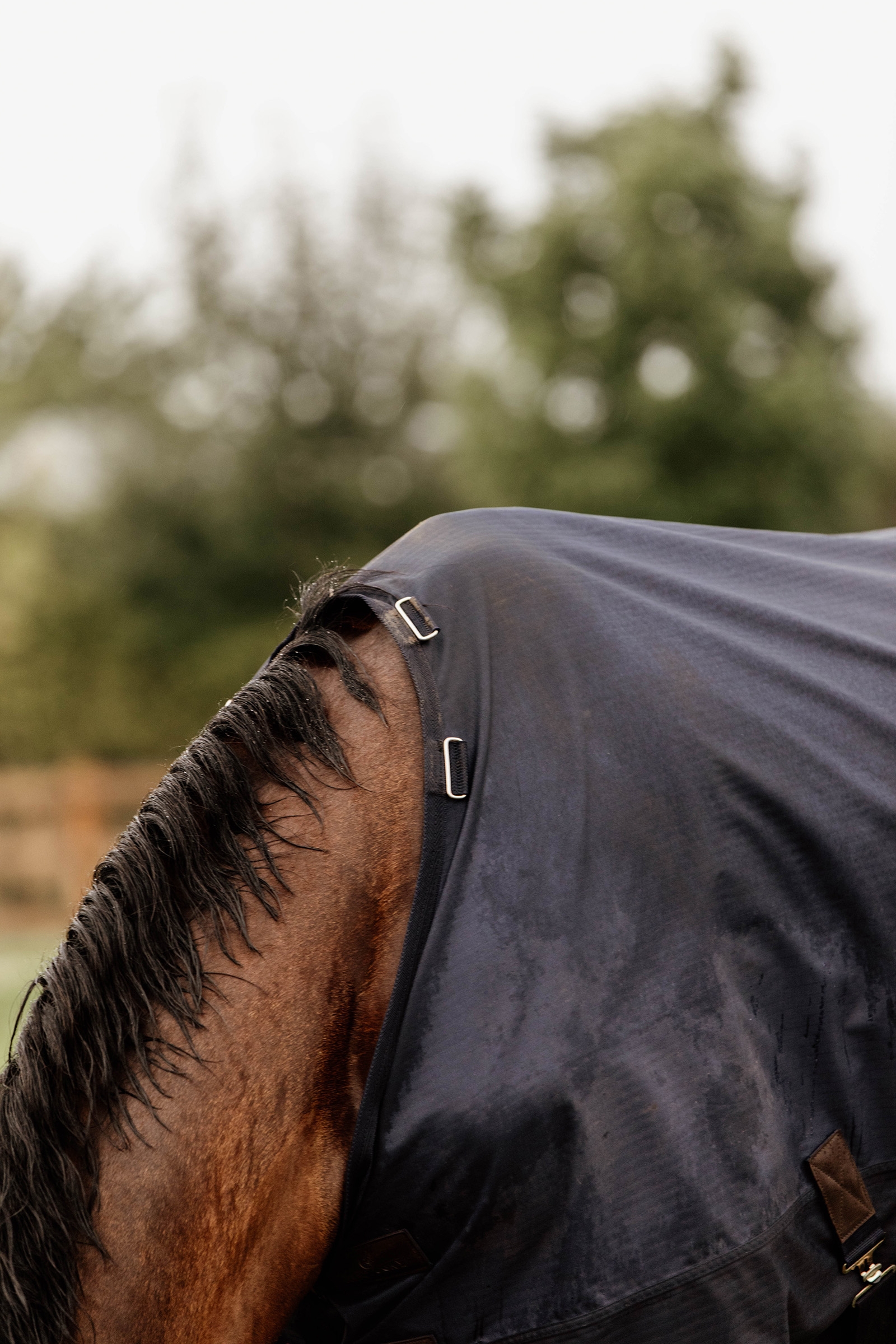 Kentucky Horsewear All Weather Udedækken, 300g