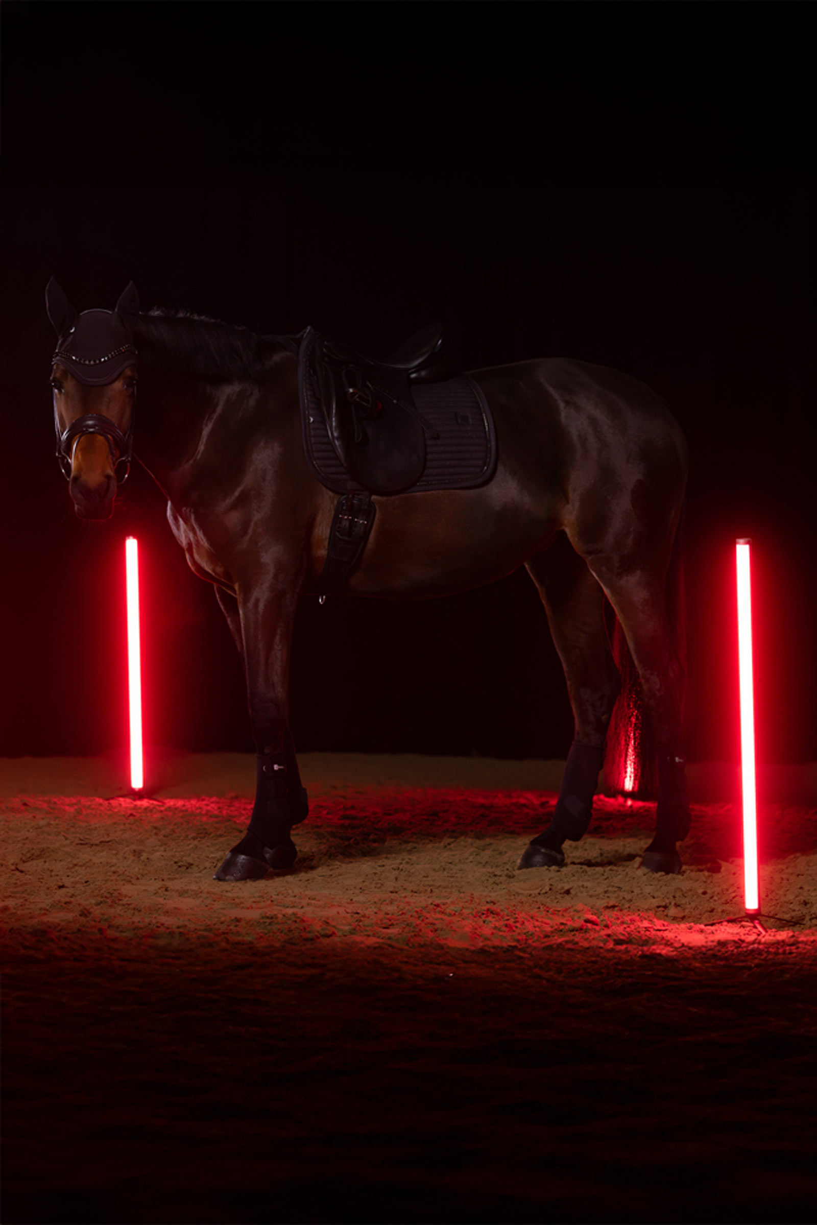 Eskadron Dynamics AW25 Sparkle Crystal sadelunderlag til dressur