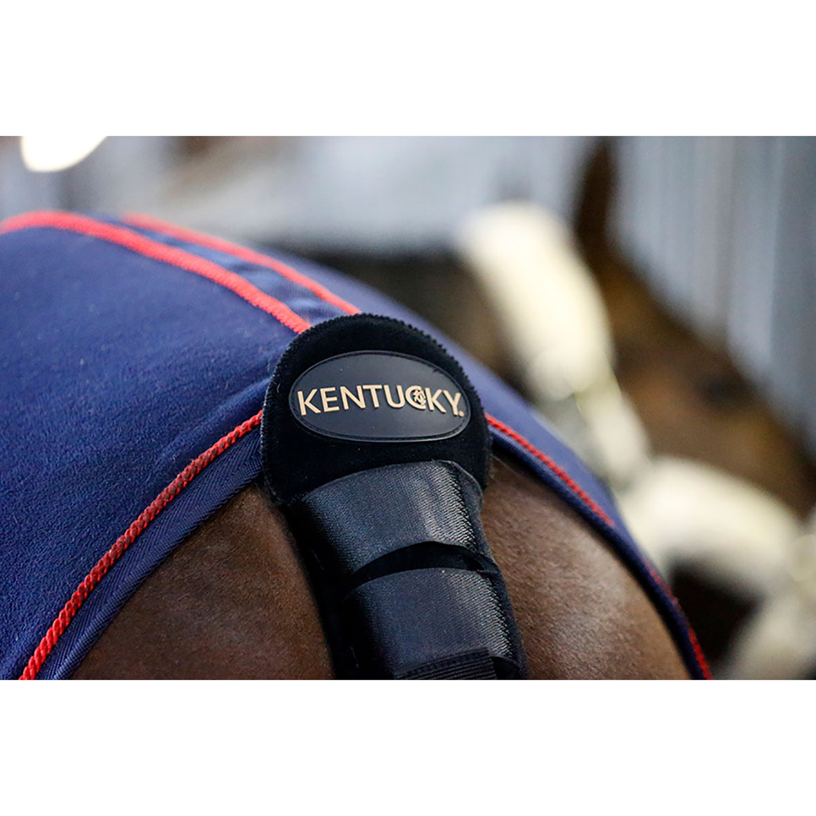 Kentucky Horsewear Halebeskytter / Halepose