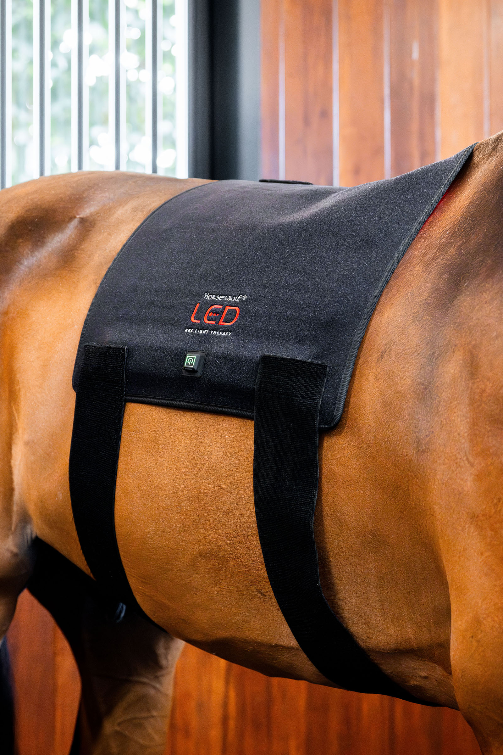 Horseware LED rødlysterapi Pad