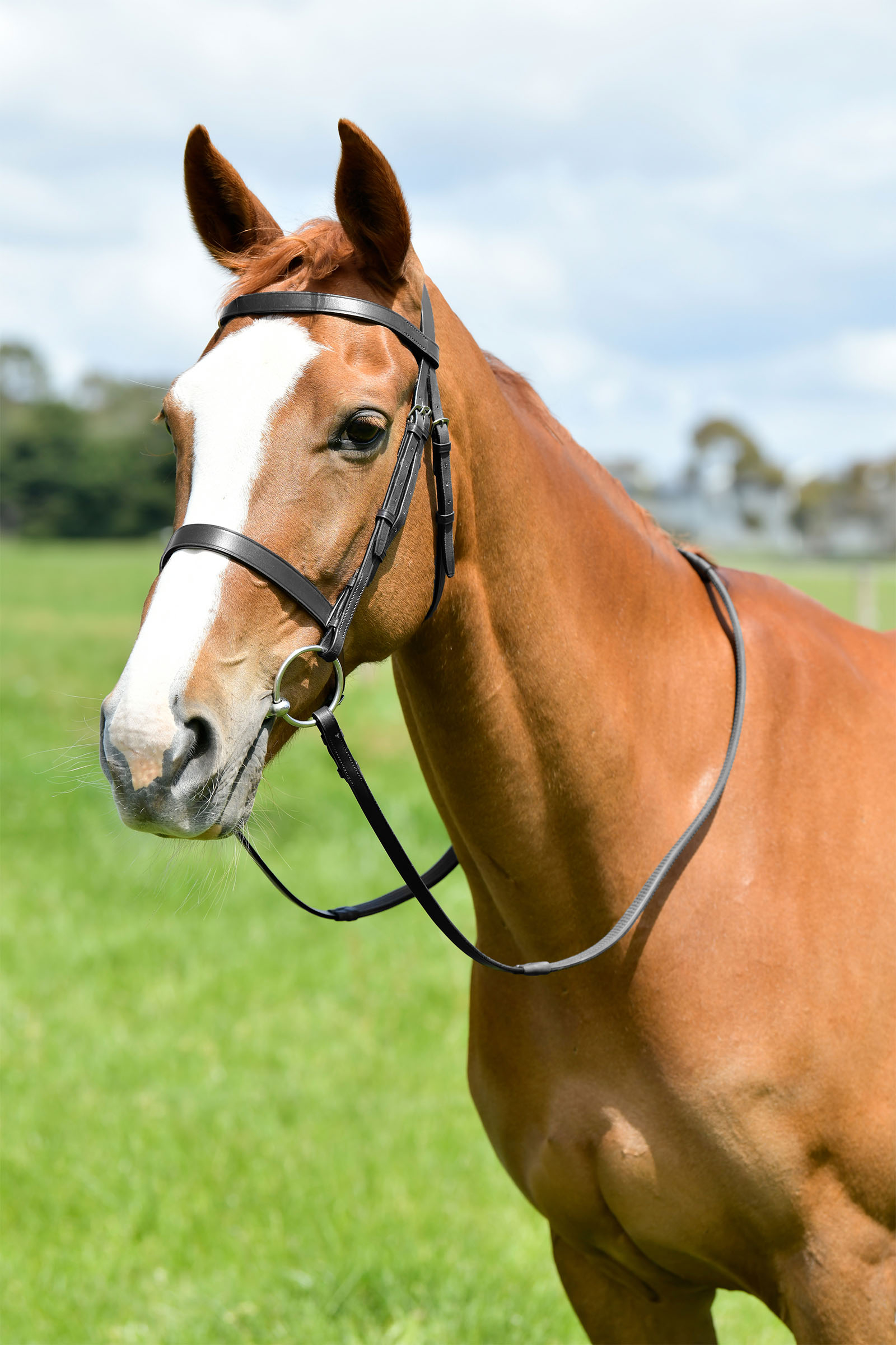 Kincade Classic flad jagttrense med t&oslash;jler
