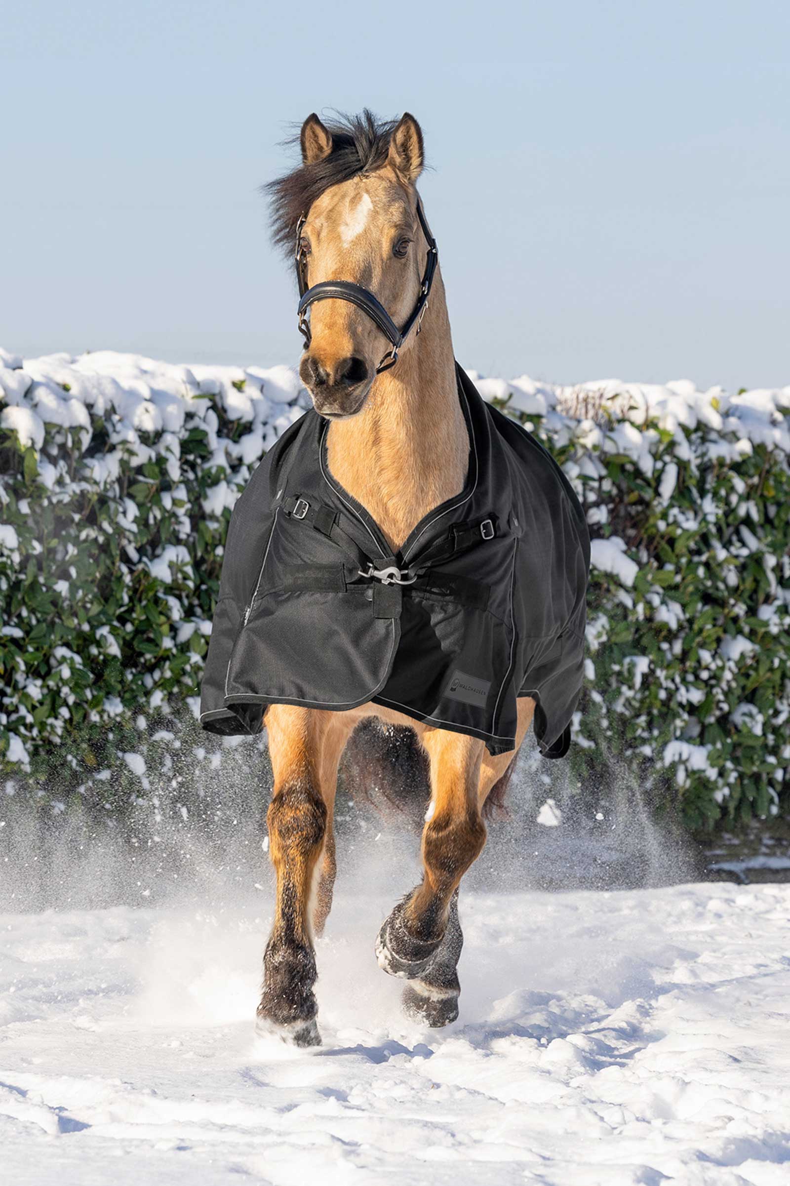 Waldhausen Scandic Uded&aelig;kken med h&oslash;j hals, 200 g