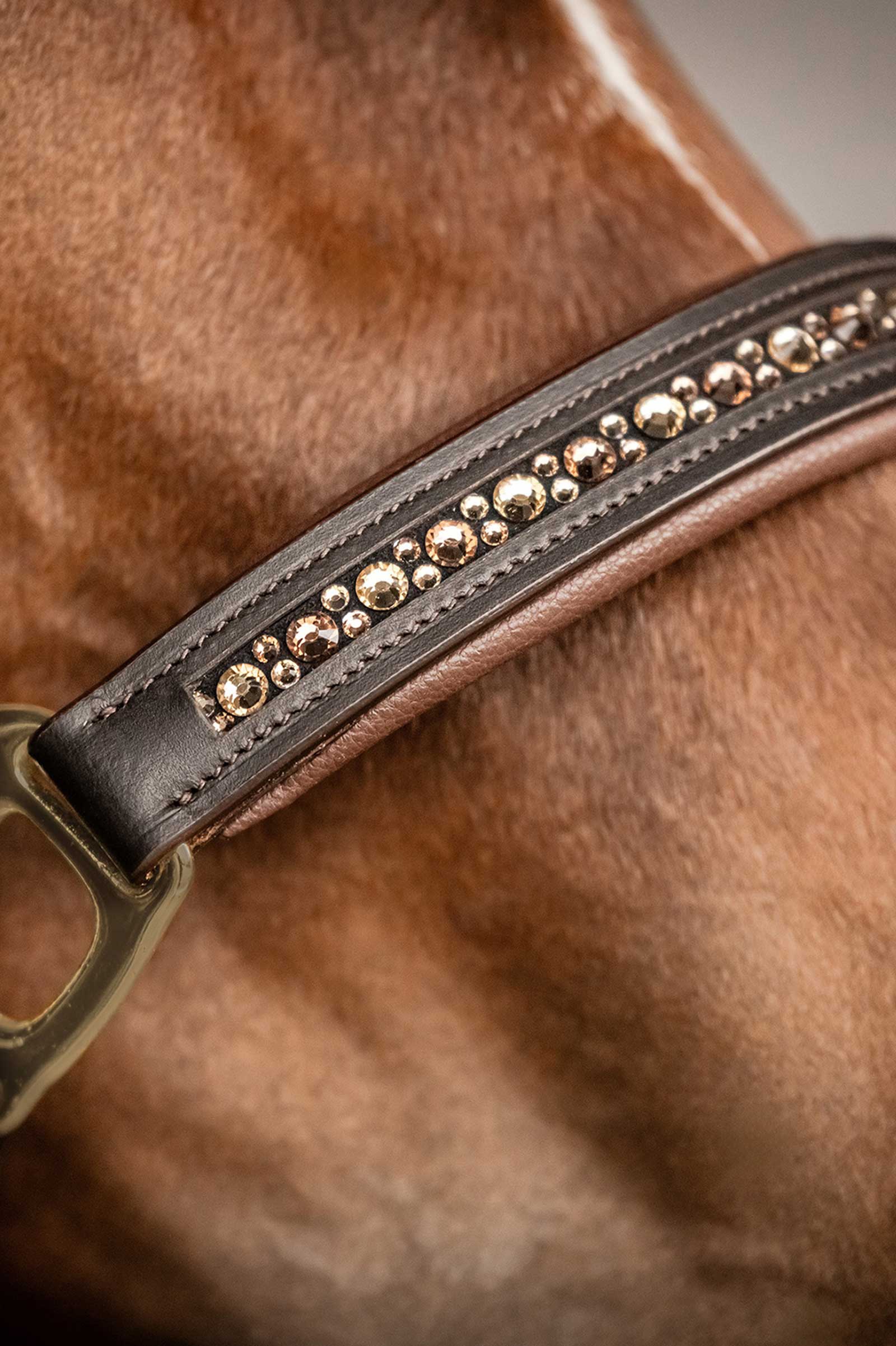 Waldhausen X-Line Crystal Lædergrime