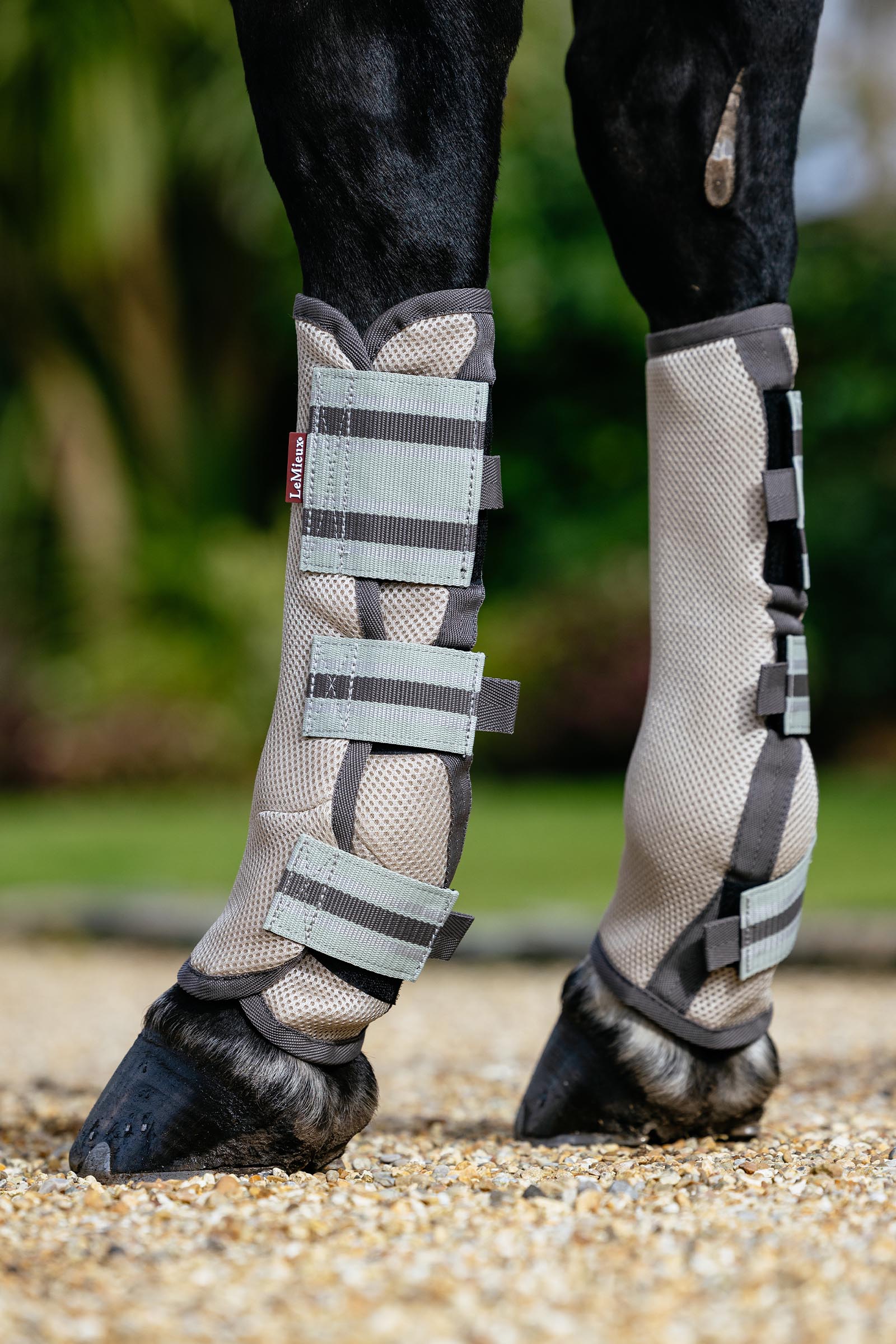 LeMieux Arika mesh fluegamacher s&aelig;t med 4