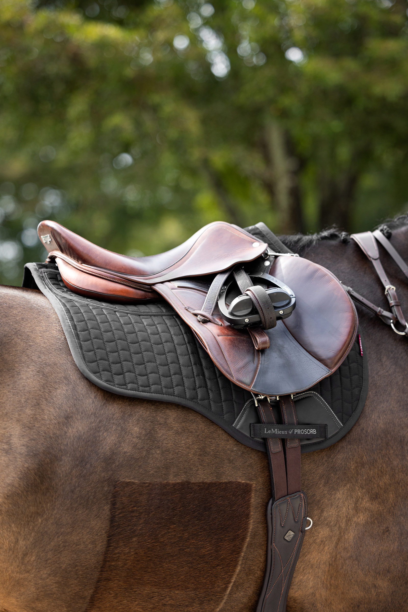 LeMieux Prosorb Plain 2 Pocket GP Square Pad