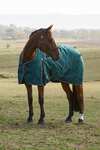 Weatherbeeta ComFiTec Classic Turnout Standard Neck 220G