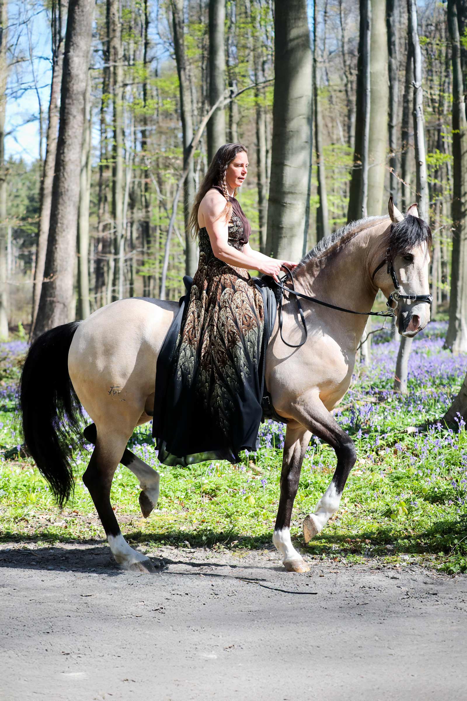 F.R.A. Freedom Riding Articles Imperial Träns Hackamore med tøjler (System 2)