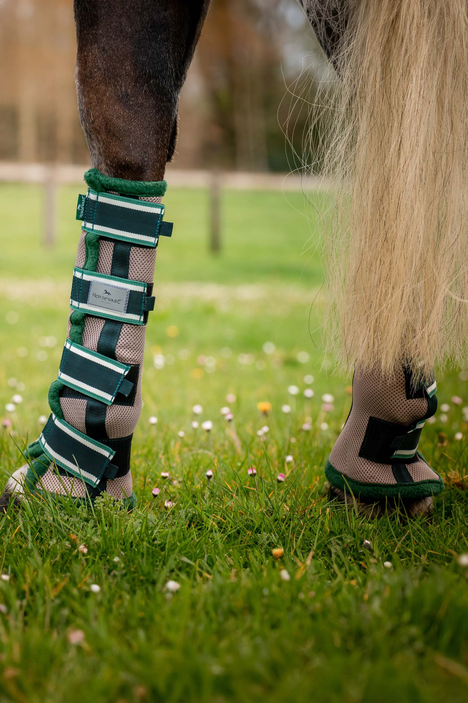 Horseware anti-flue boots til heste