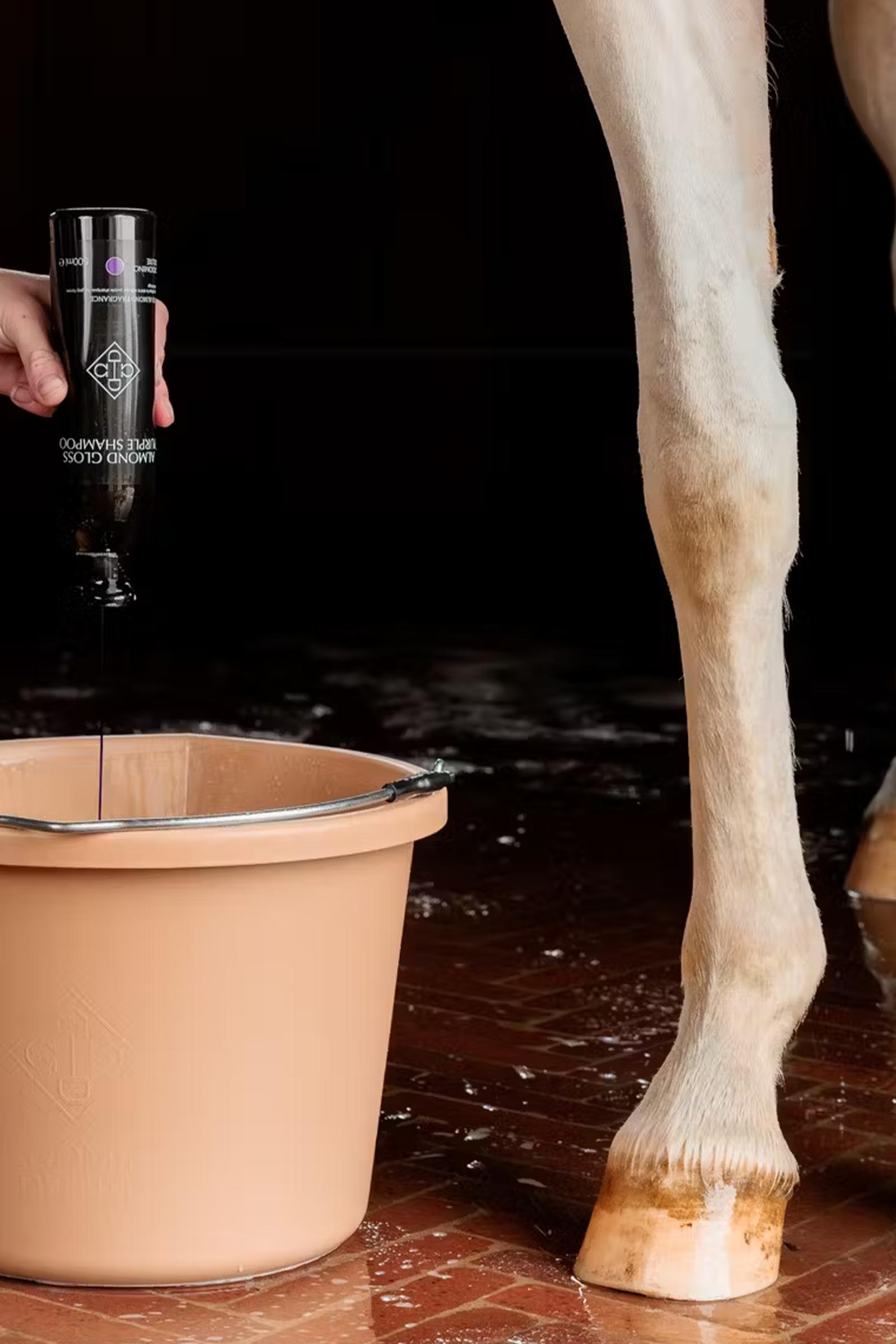 Grooming Deluxe Mandel gloss lilla shampoo, 500 ml