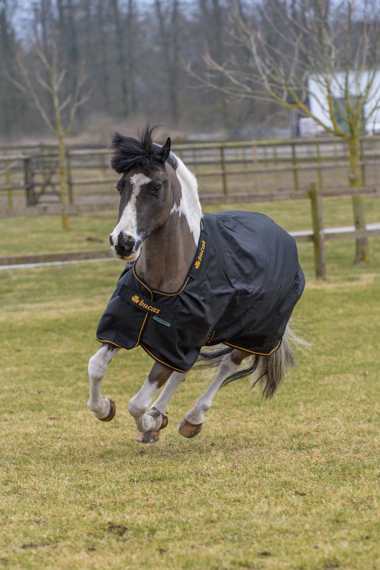 Bucas Irish Pony udedækken, 50g