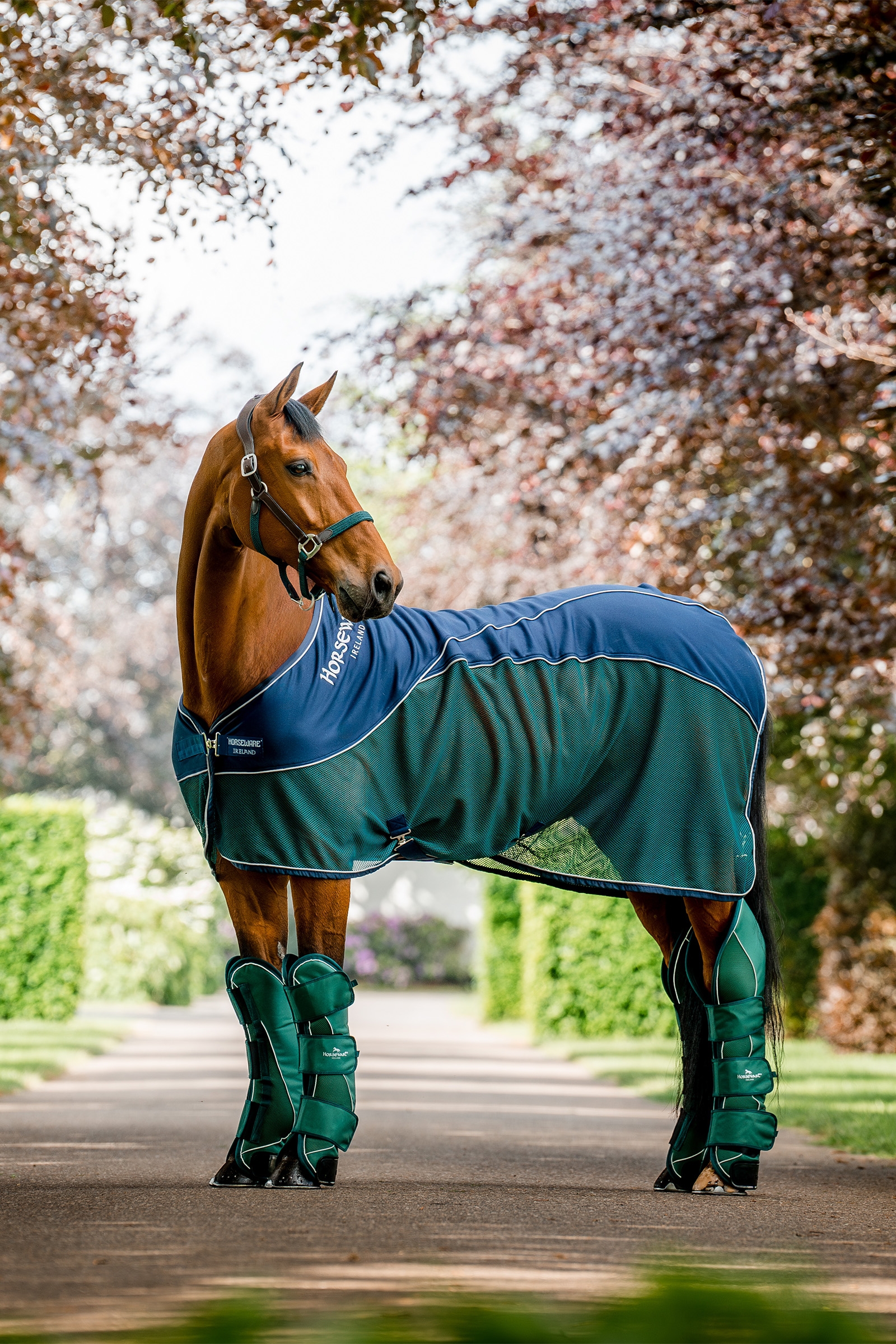 Horseware Signature Transport Benbeskyttere