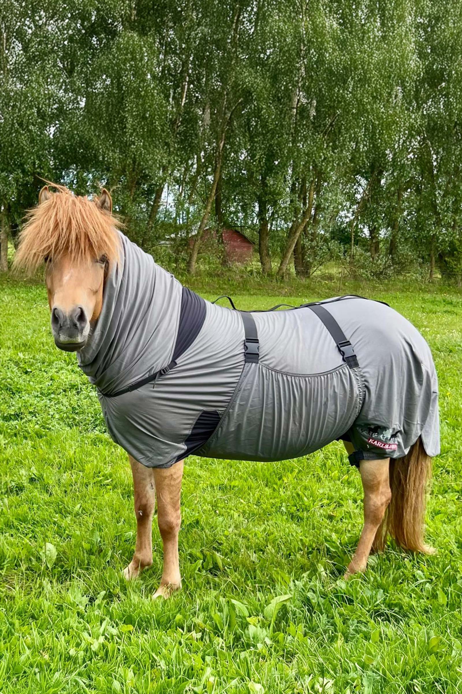 Karlslund Matti Eksemd&aelig;kken med fast hals, 0g