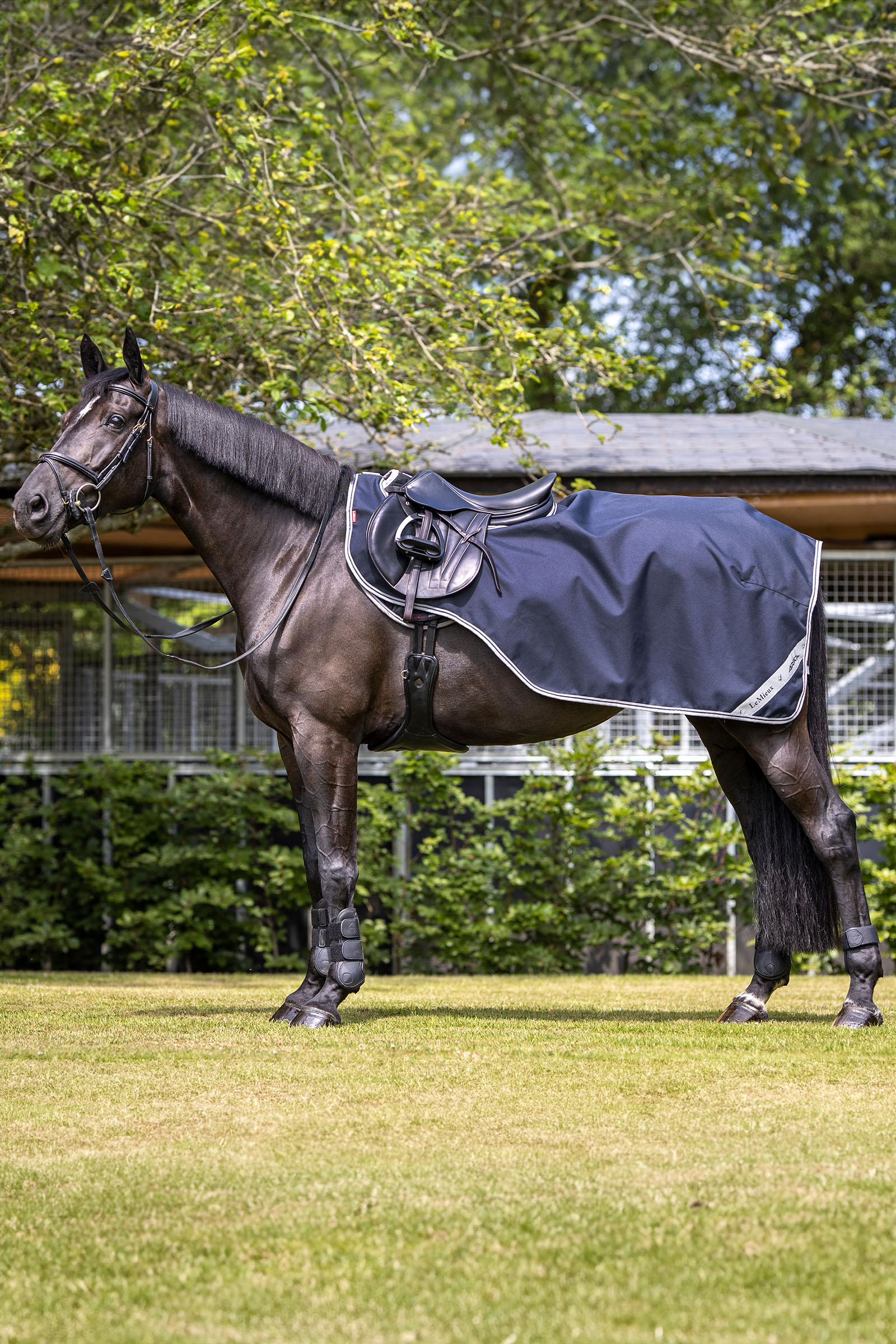 LeMieux Arika træningsdækken