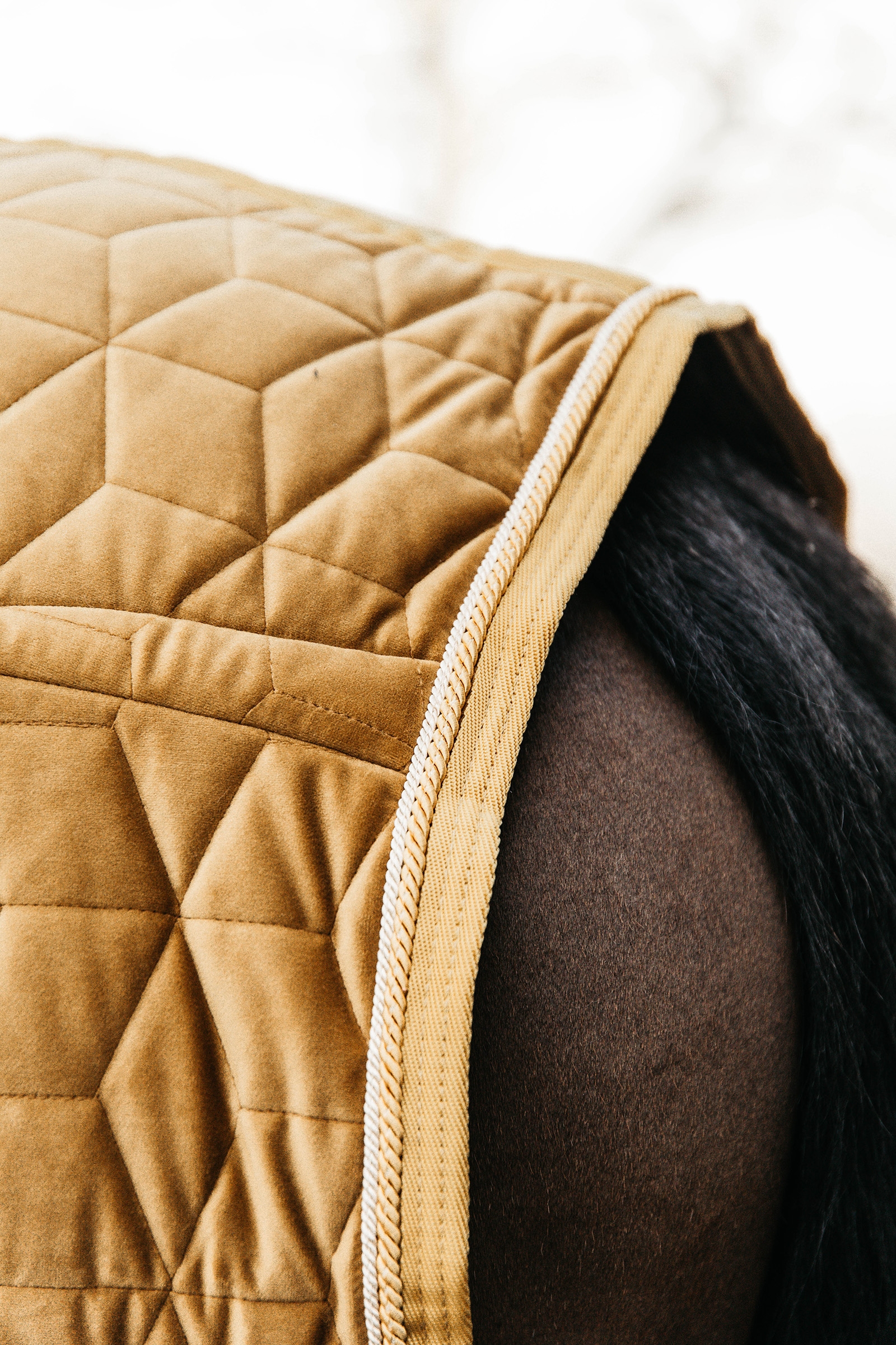 Kentucky Velvet Showd&aelig;kken, 160 gr