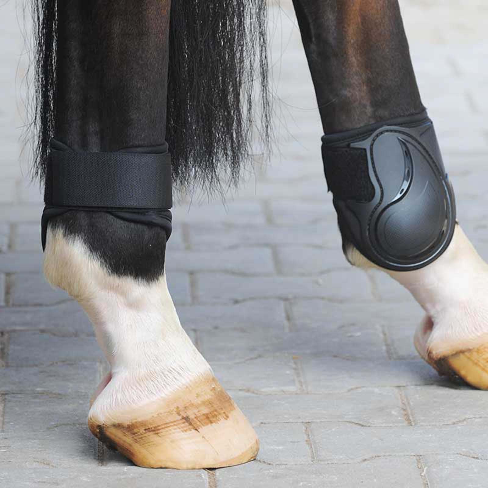 Kavalkade Fetlock Boots Compete