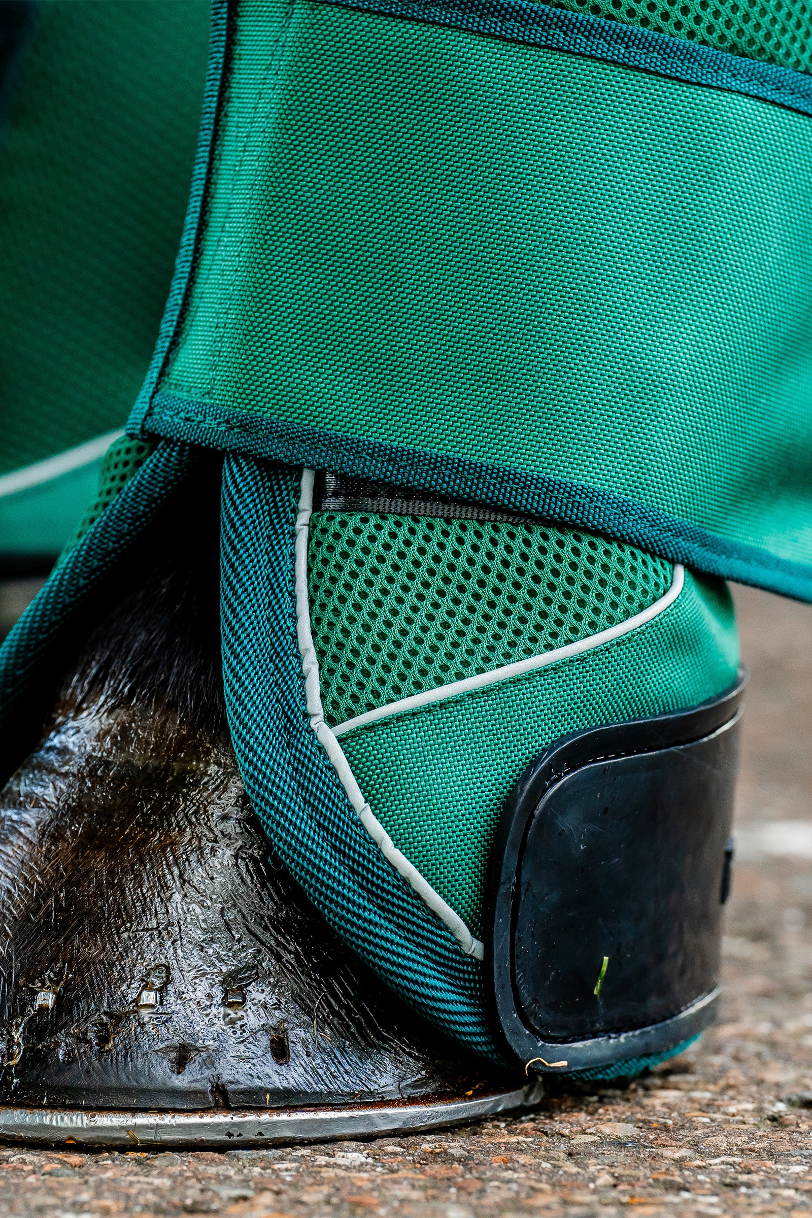 Horseware Signature Transport Benbeskyttere