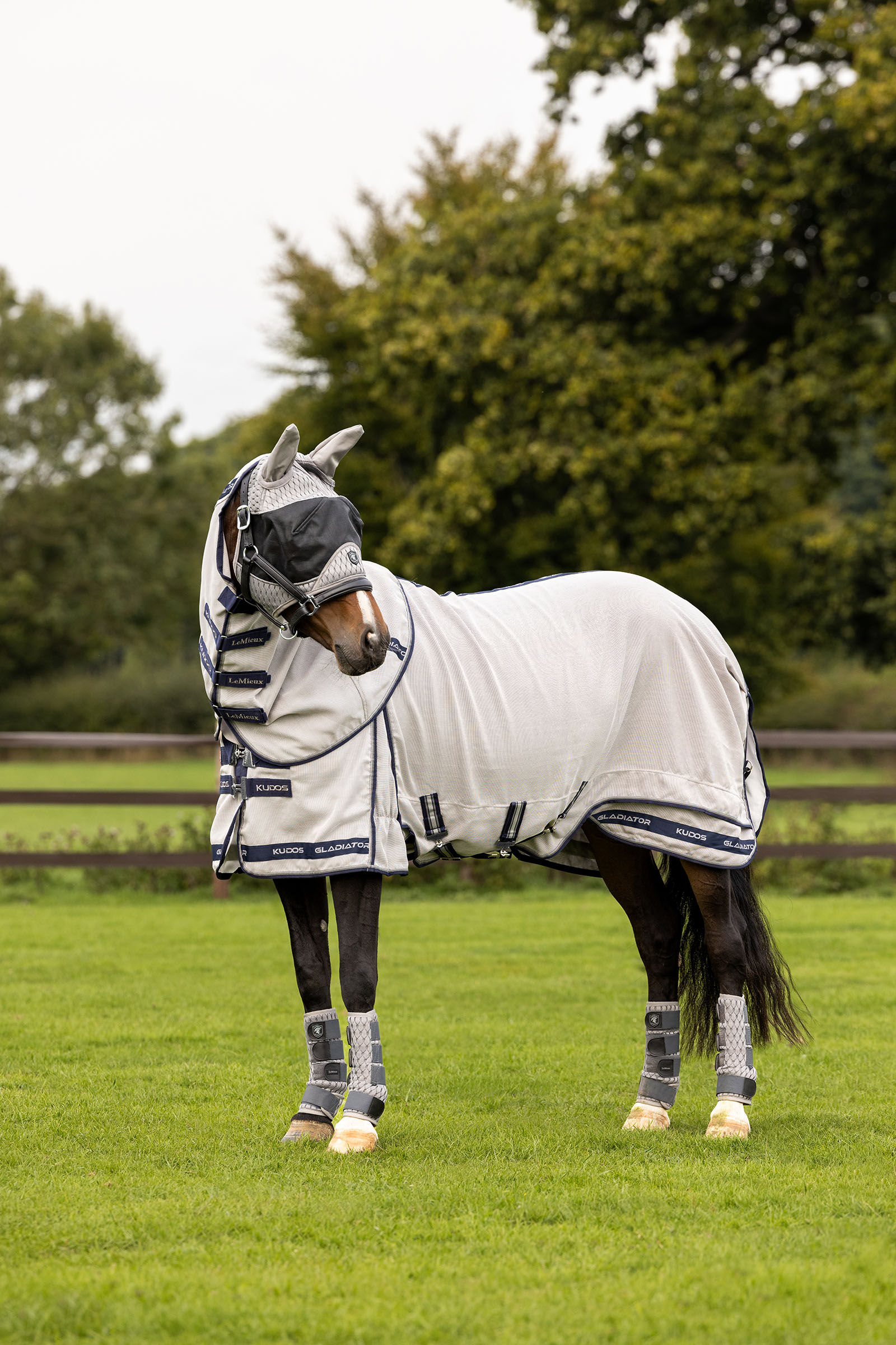 LeMieux Kudos Gladiator flued&aelig;kken